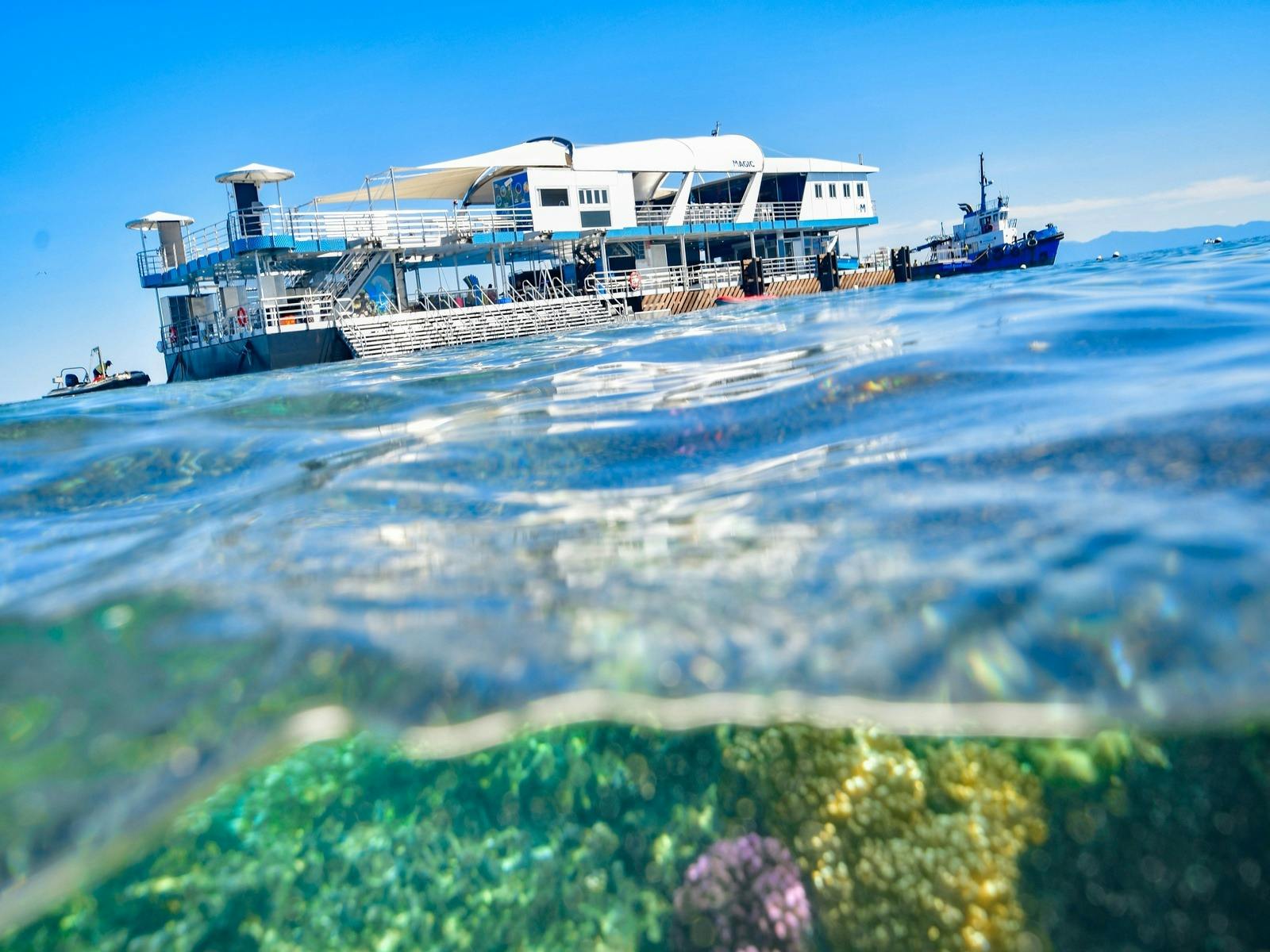 Get That Holiday Feeling with Reef Magic - 10% Off!