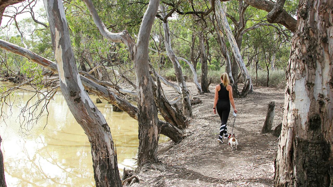 Loddon River Walk/Kerang Regional Park
