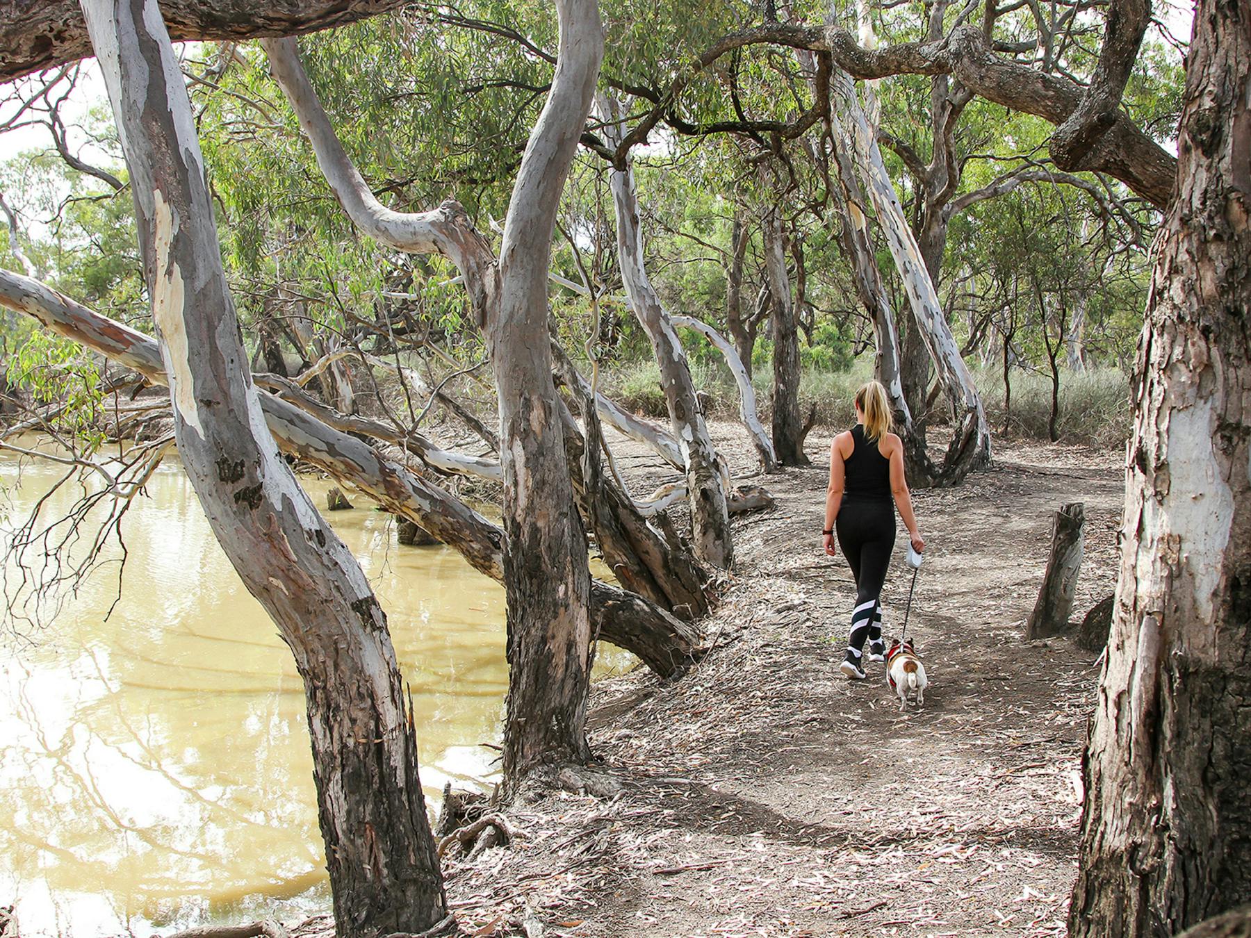 Loddon River Walk