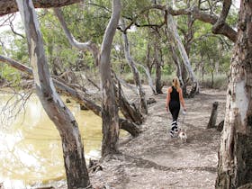 Loddon River Walk