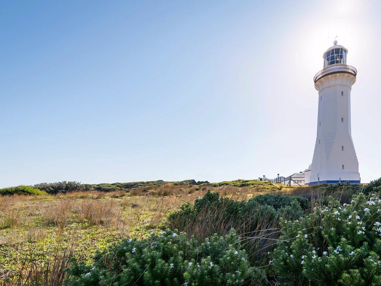 Bittangabee Bay to Green Cape walking track, Ben Boyd National Park. Photo: John Spencer