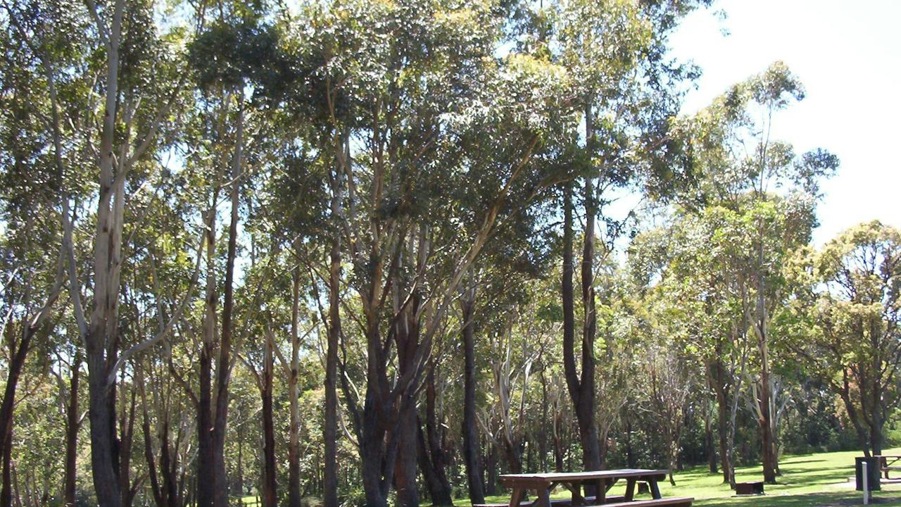 Blackbutt Forests Reserve