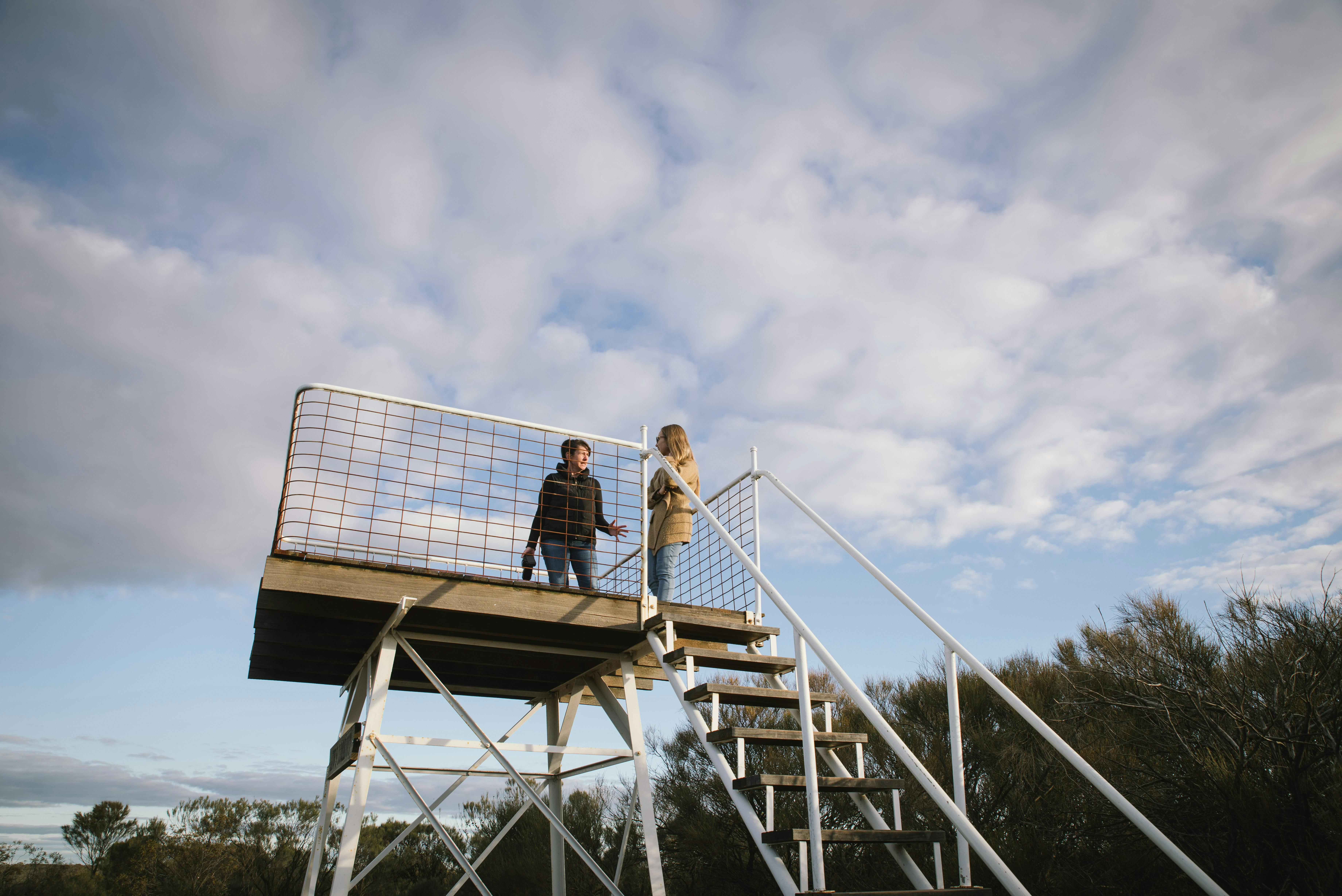 Lew's Lookout