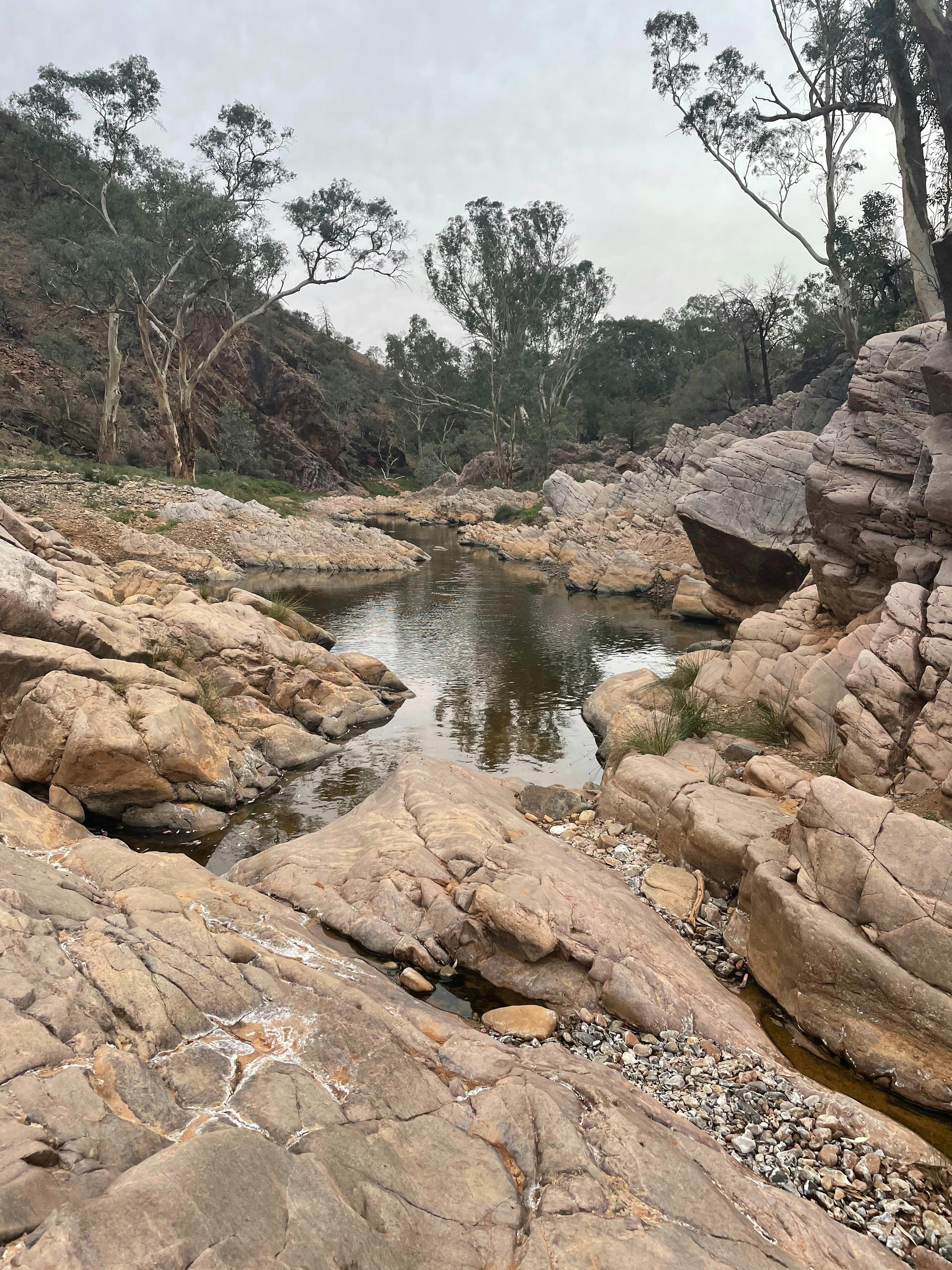 Arkaroola