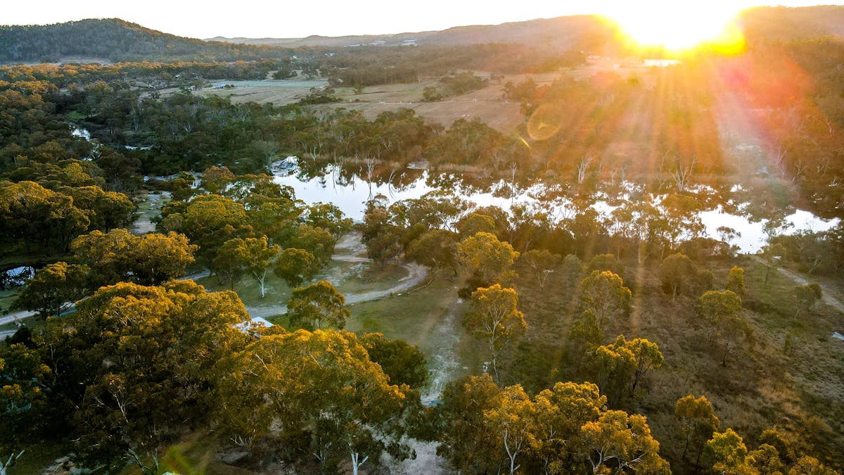 park image