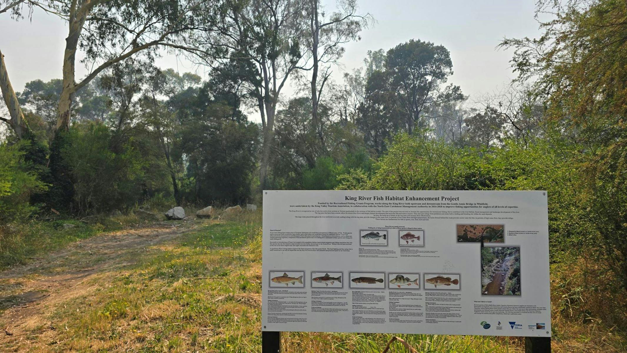 White sign with photos and information on native fish species with trees in the background