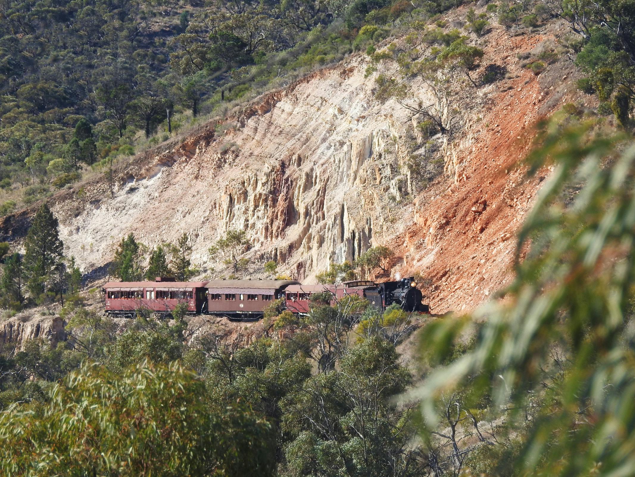 Enjoy a ride on the Pichi Richi Train in the Flinders Ranges