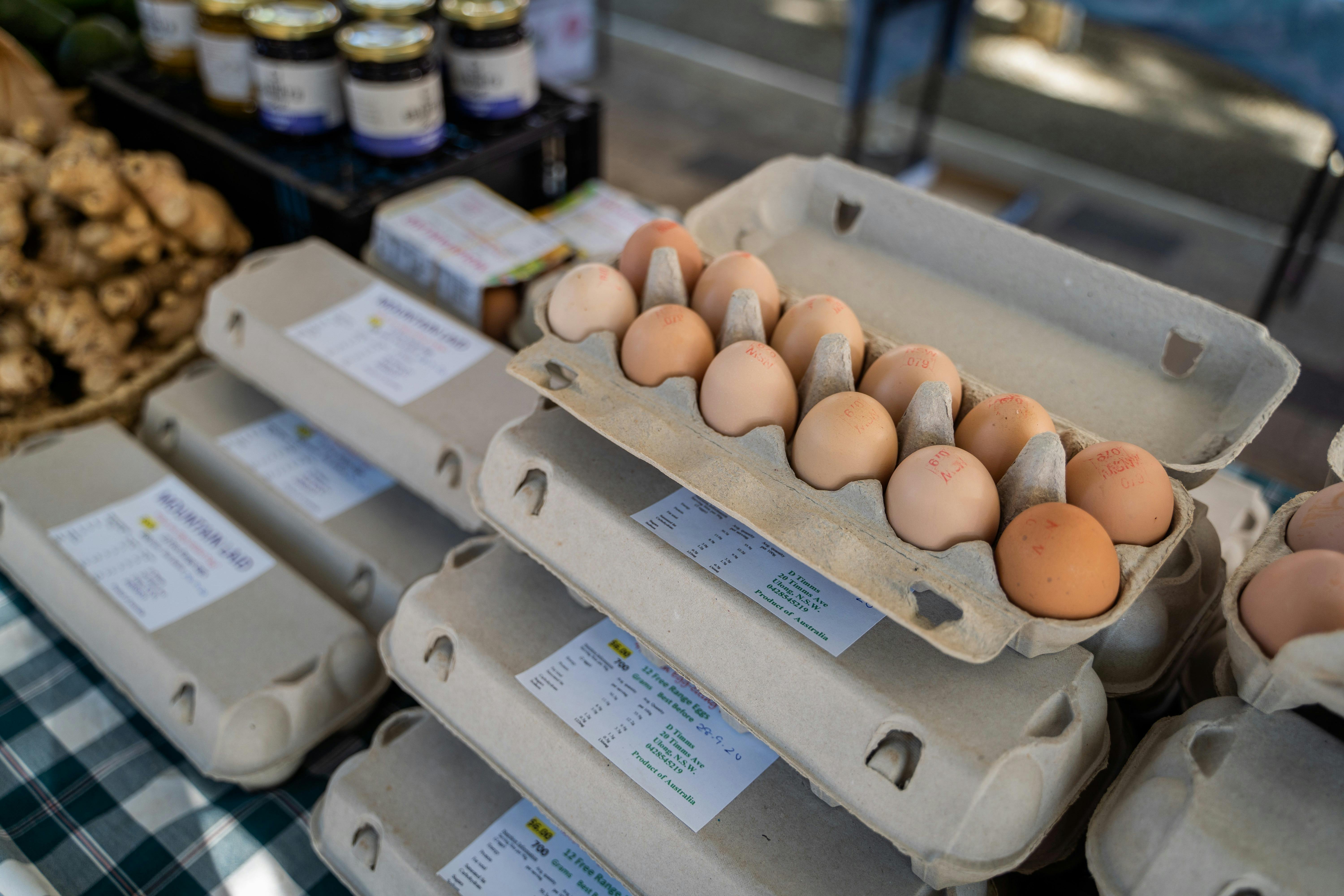 Fresh Eggs