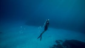 Diving on Lady Elliot Island, Great Barrier Reef, Queensland.
