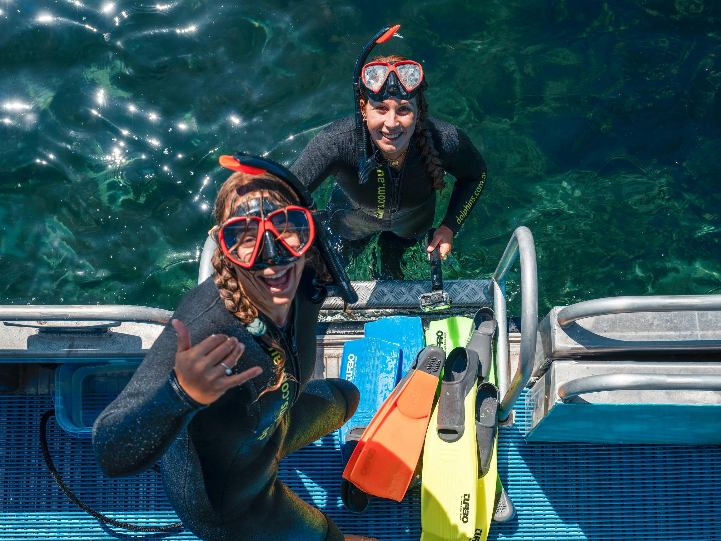 Working Holiday Maker at Perth Wildlife Encounters, Rockingham