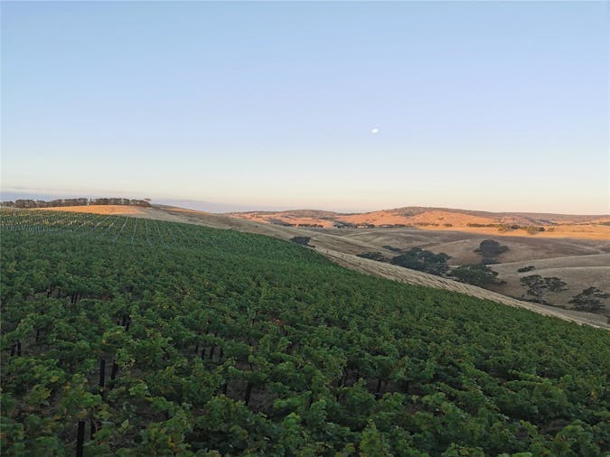 Barossa Valley Wine TourChteau Trail