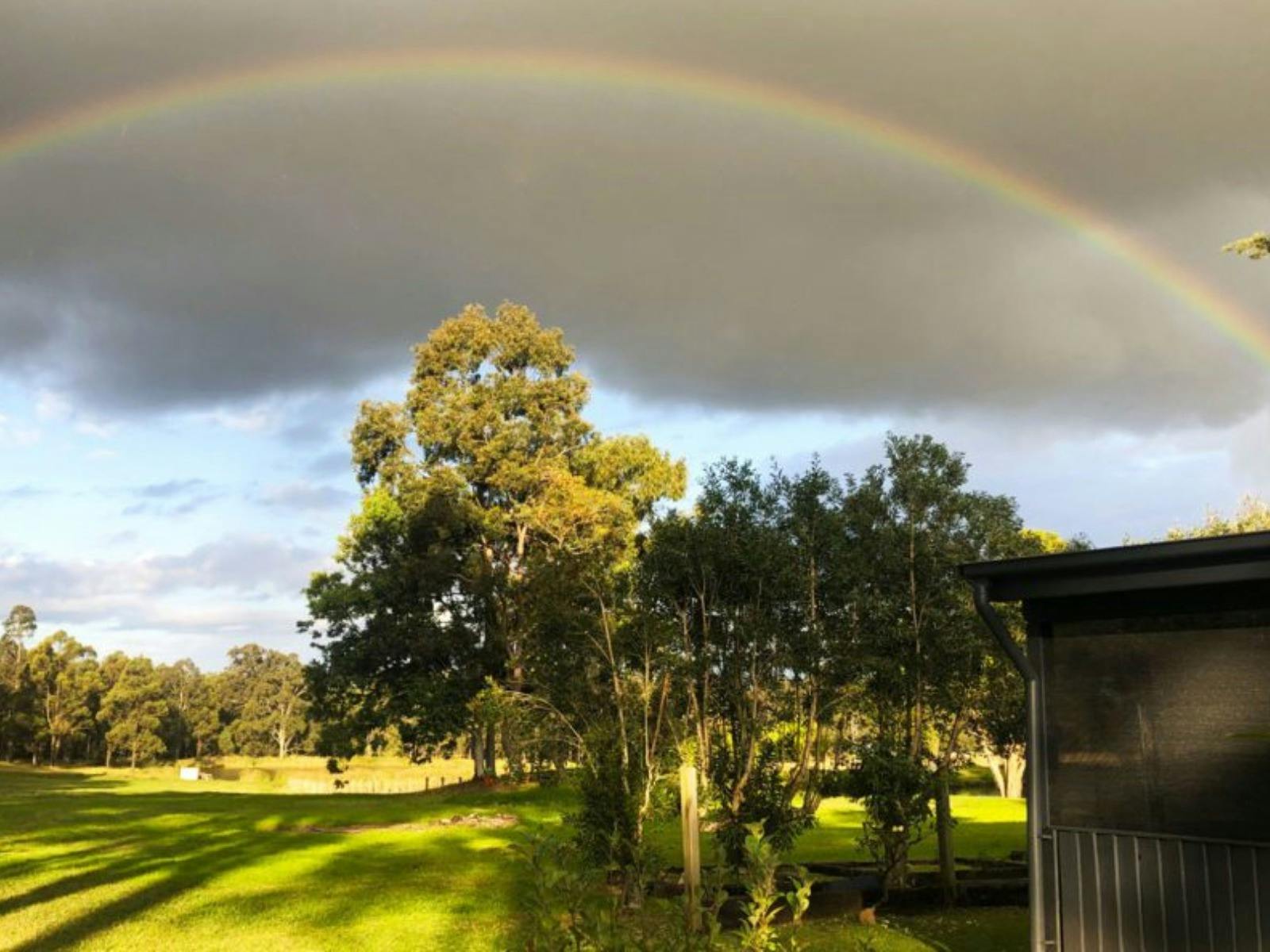rainbow mount eyre vineyard