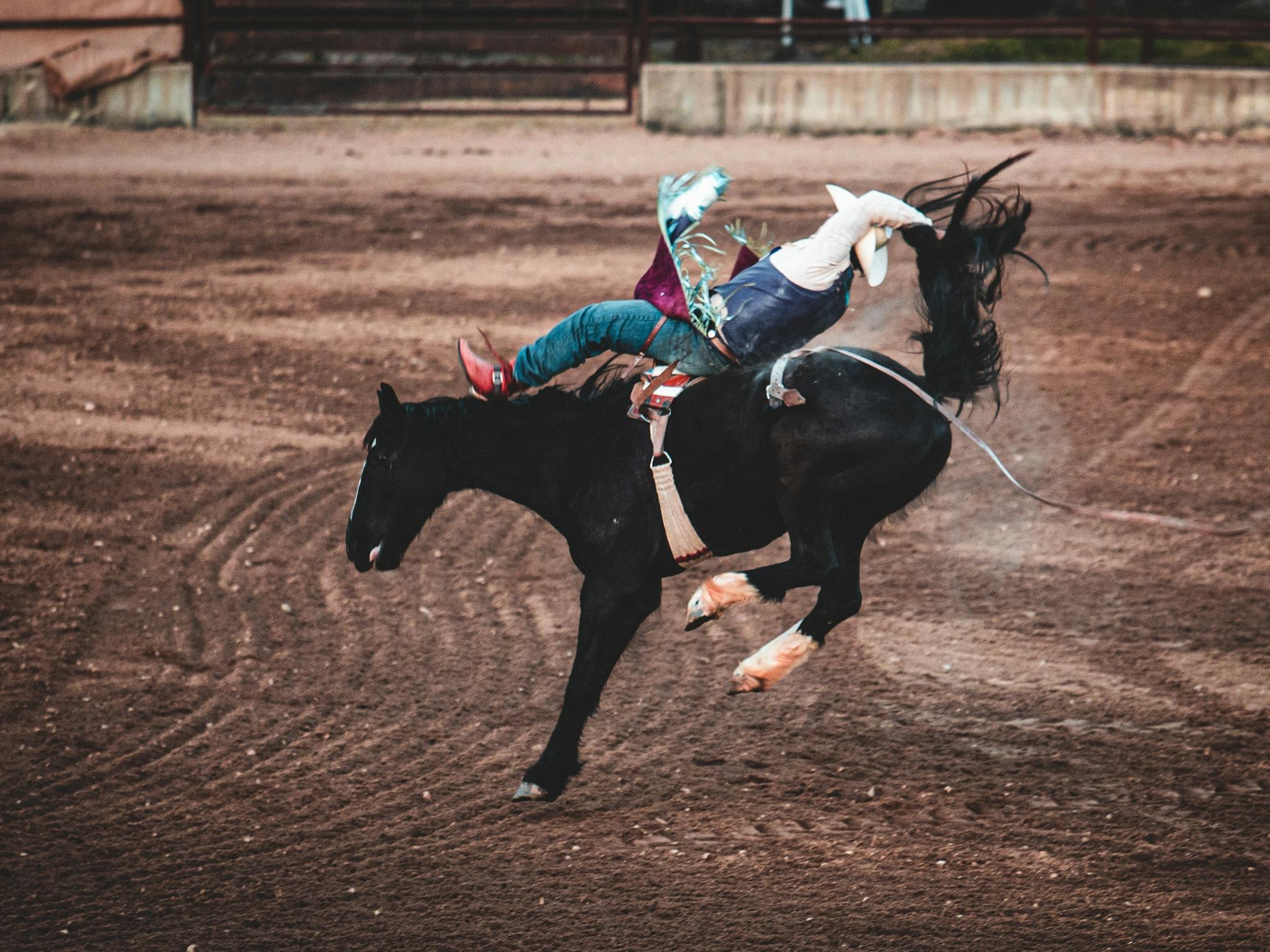 North Queensland Elite Rodeo | Browse and Book Nearby Caravan Parks