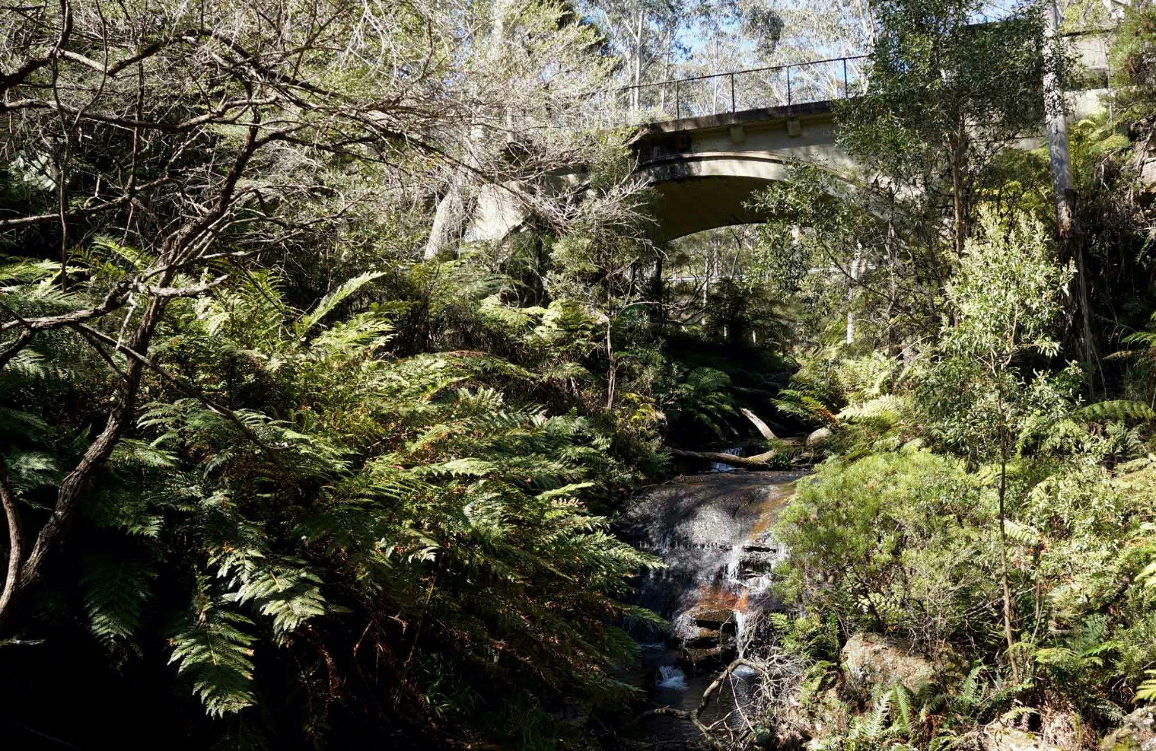 Leura Cascades picnic area