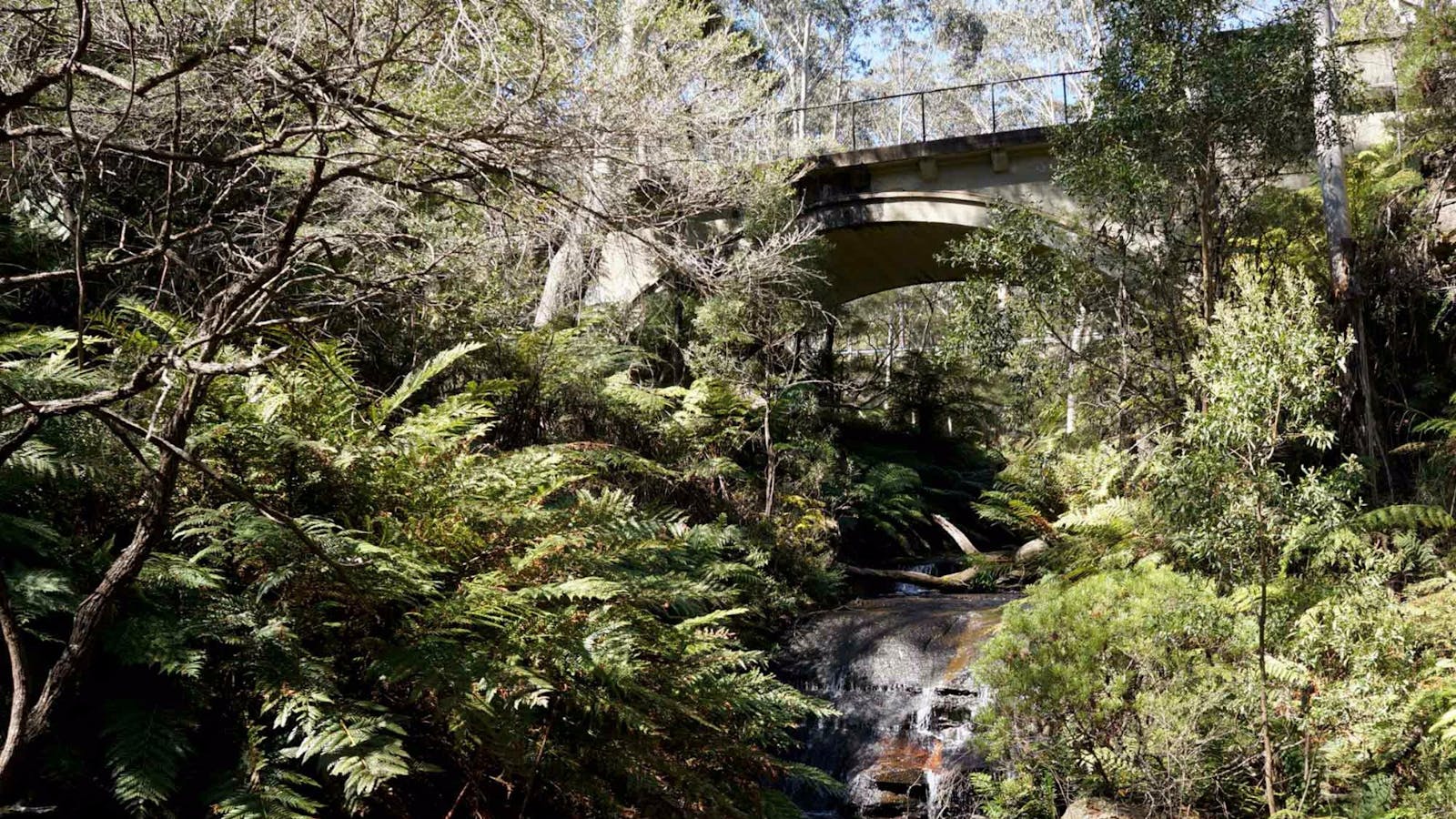 Leura Cascades picnic area