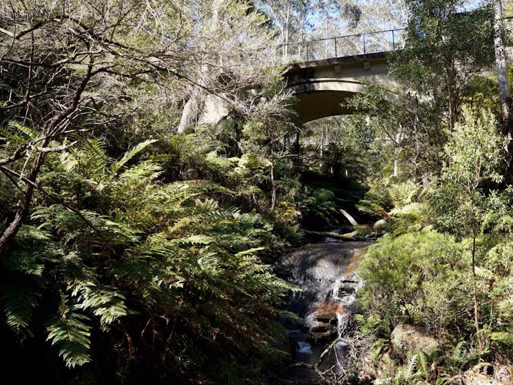 Leura Cascades picnic area