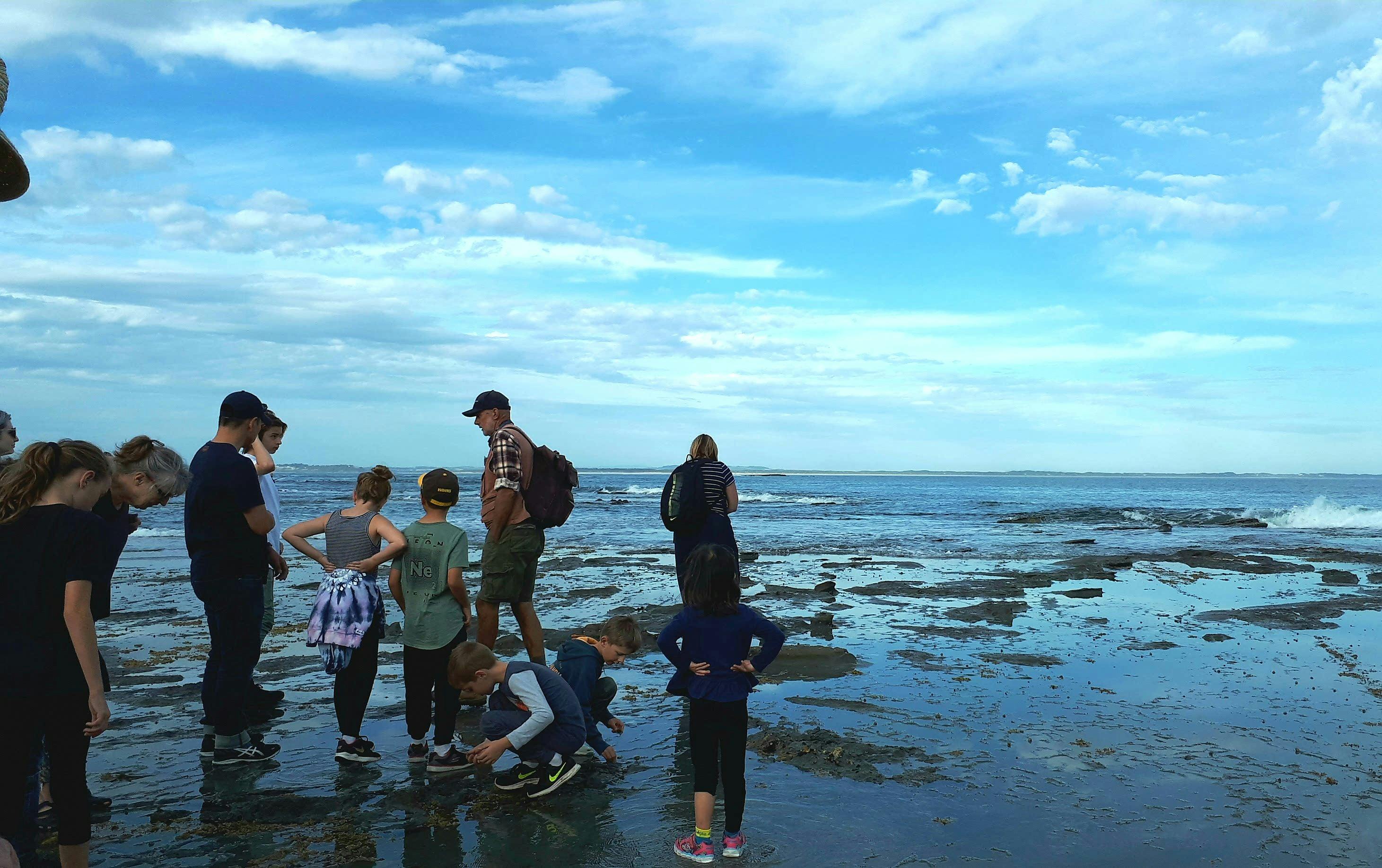 Rock Pool Ramble at Flat Rocks, Inverloch