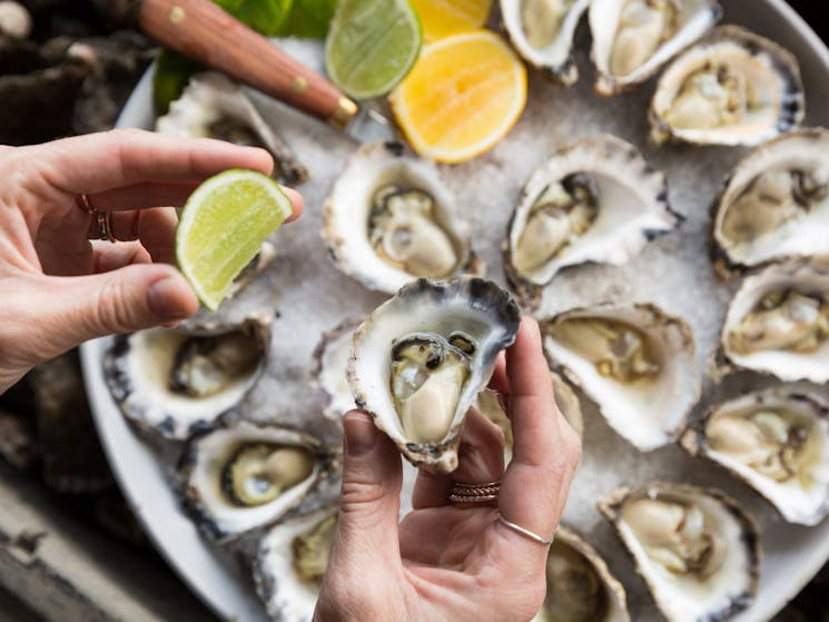 A plate of shucked rock oysters, a ladies hand is holding a lemon, about to squeeze and feast!