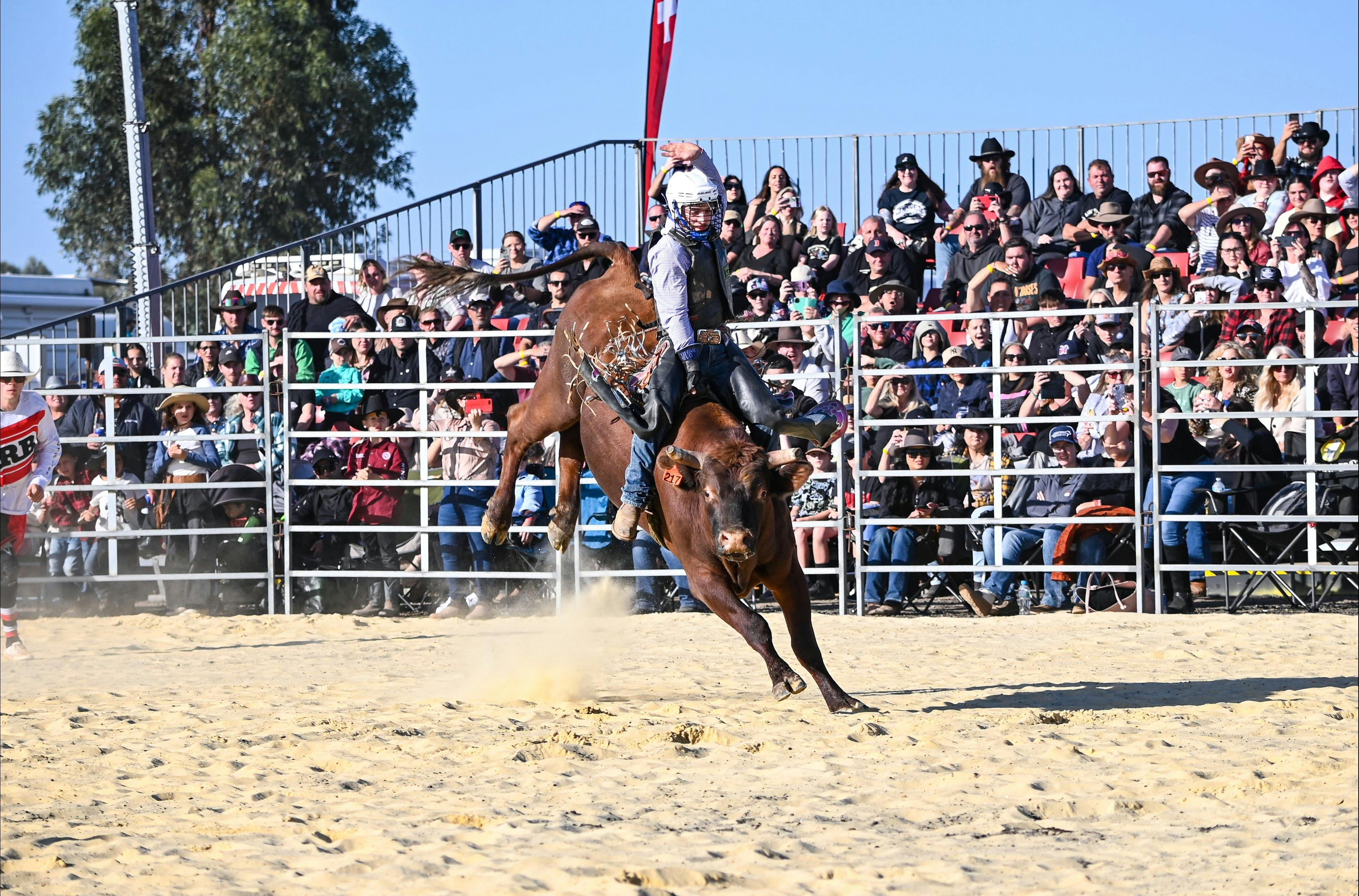 A high-flyer on the bulls in front of a sold-out crowd