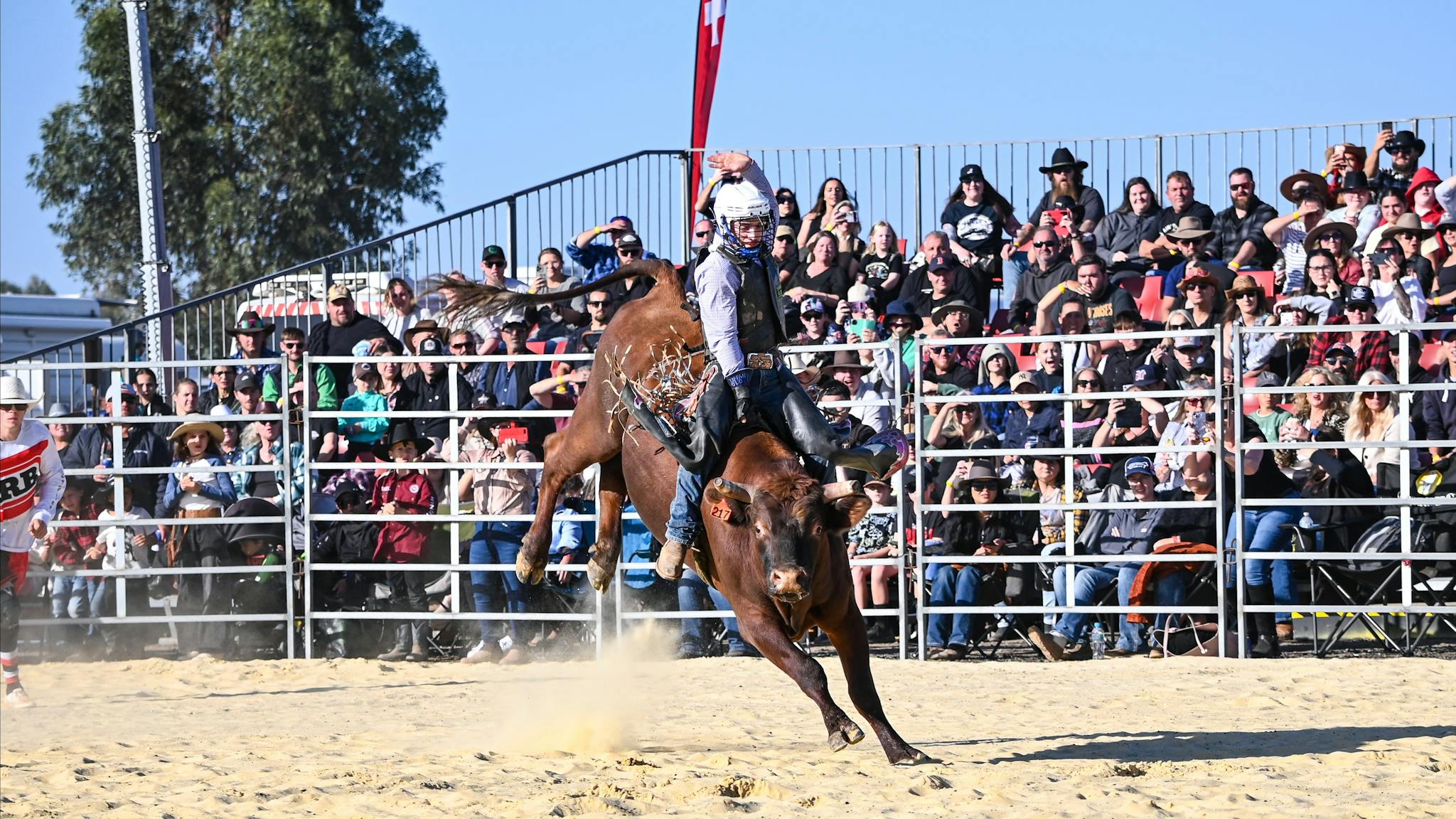 A young bull rider is mid-ride on a bucking bull in front of a sold our crowd