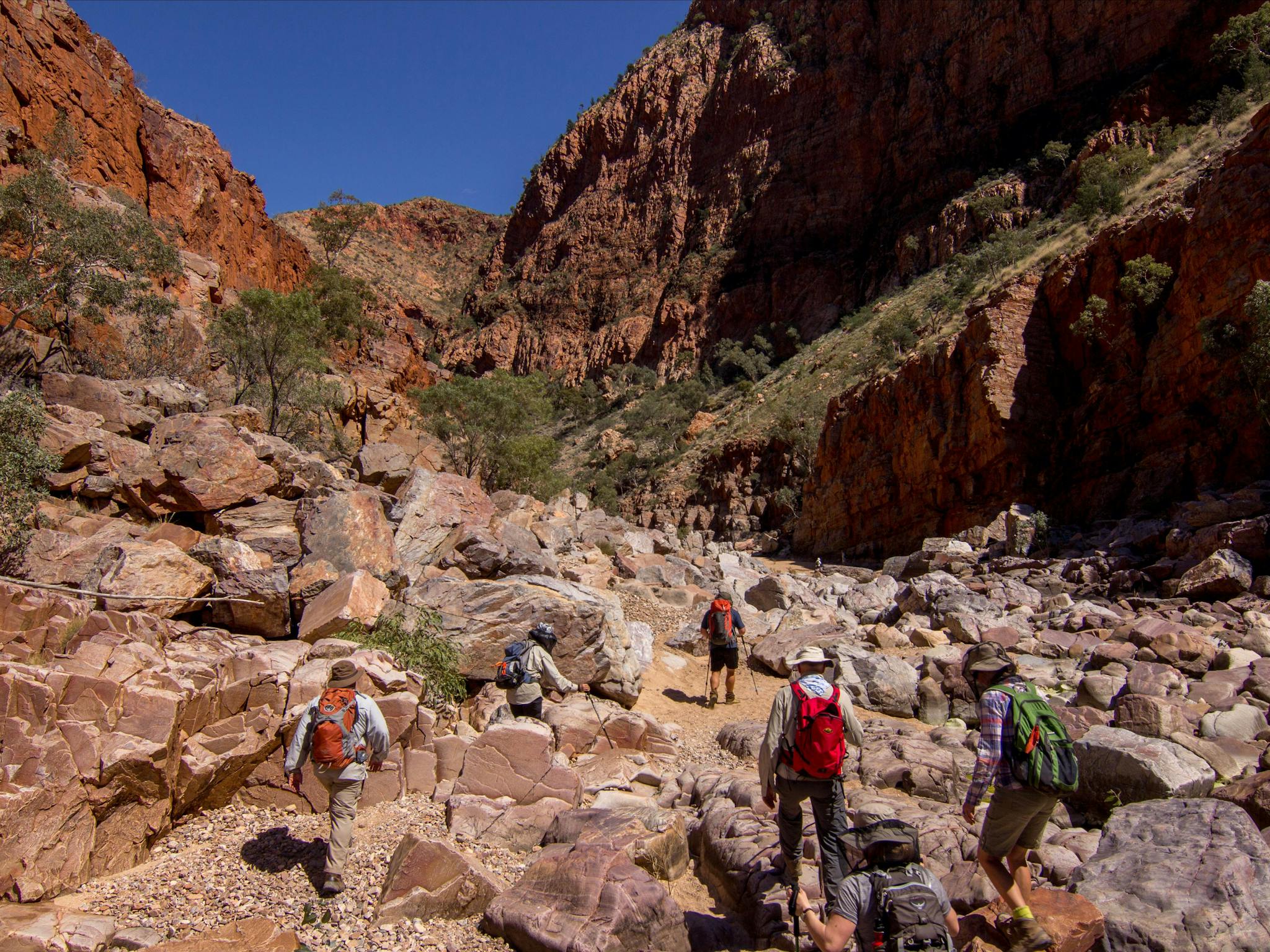 Larapinta trail group hiking