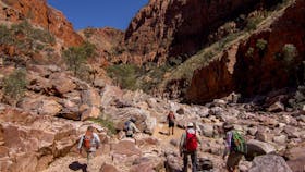 Larapinta Trail