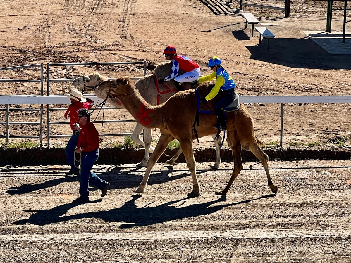 Bedourie Camel Racing