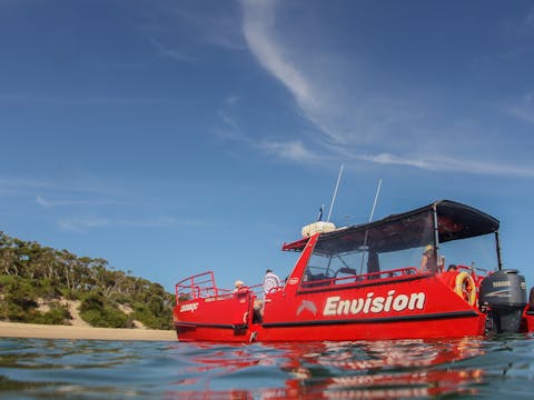 2 Hour Highlights of Port Stephens Eco Adventure - with Beach Swim