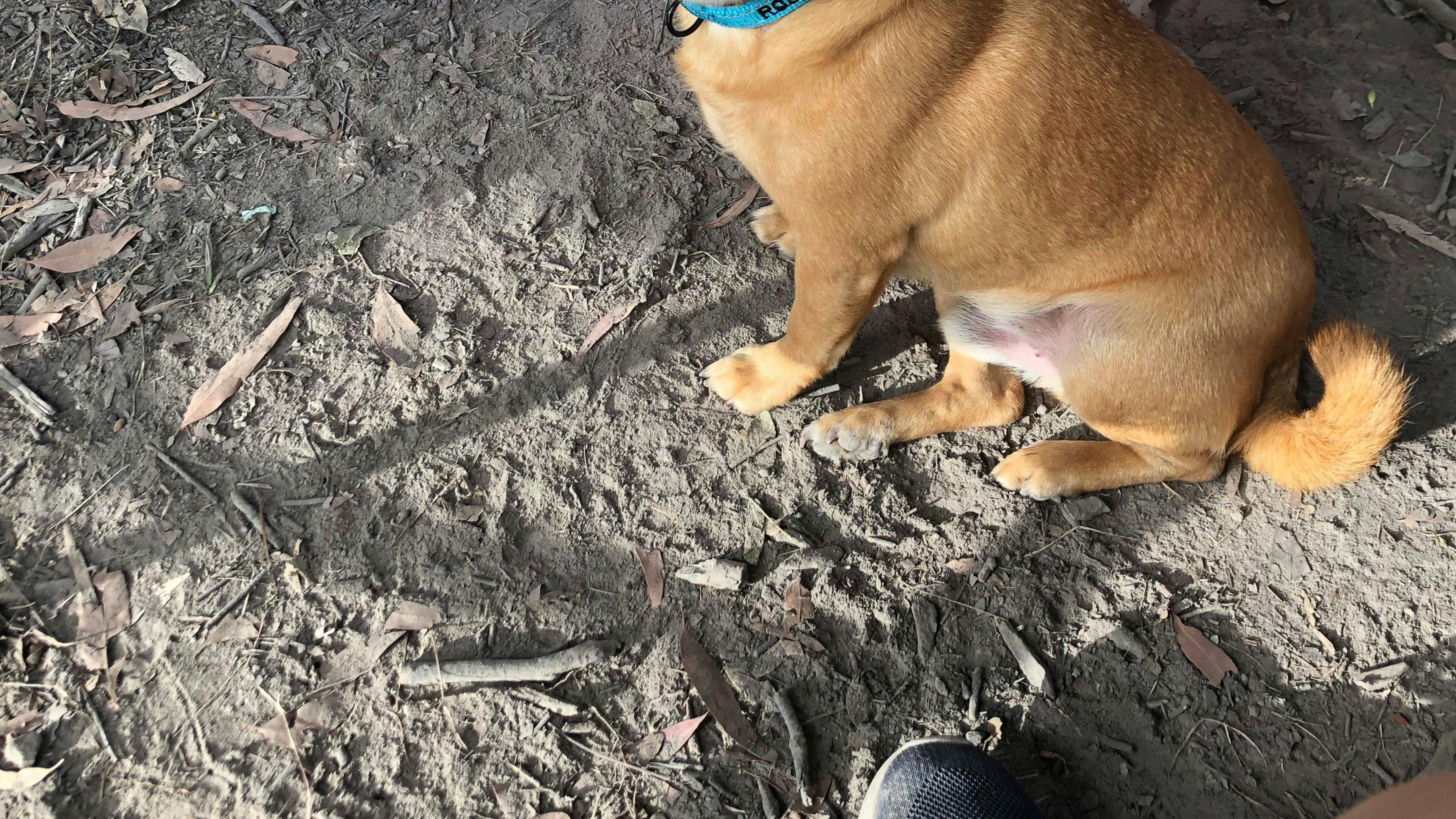 Agnes Park Enviro Camp