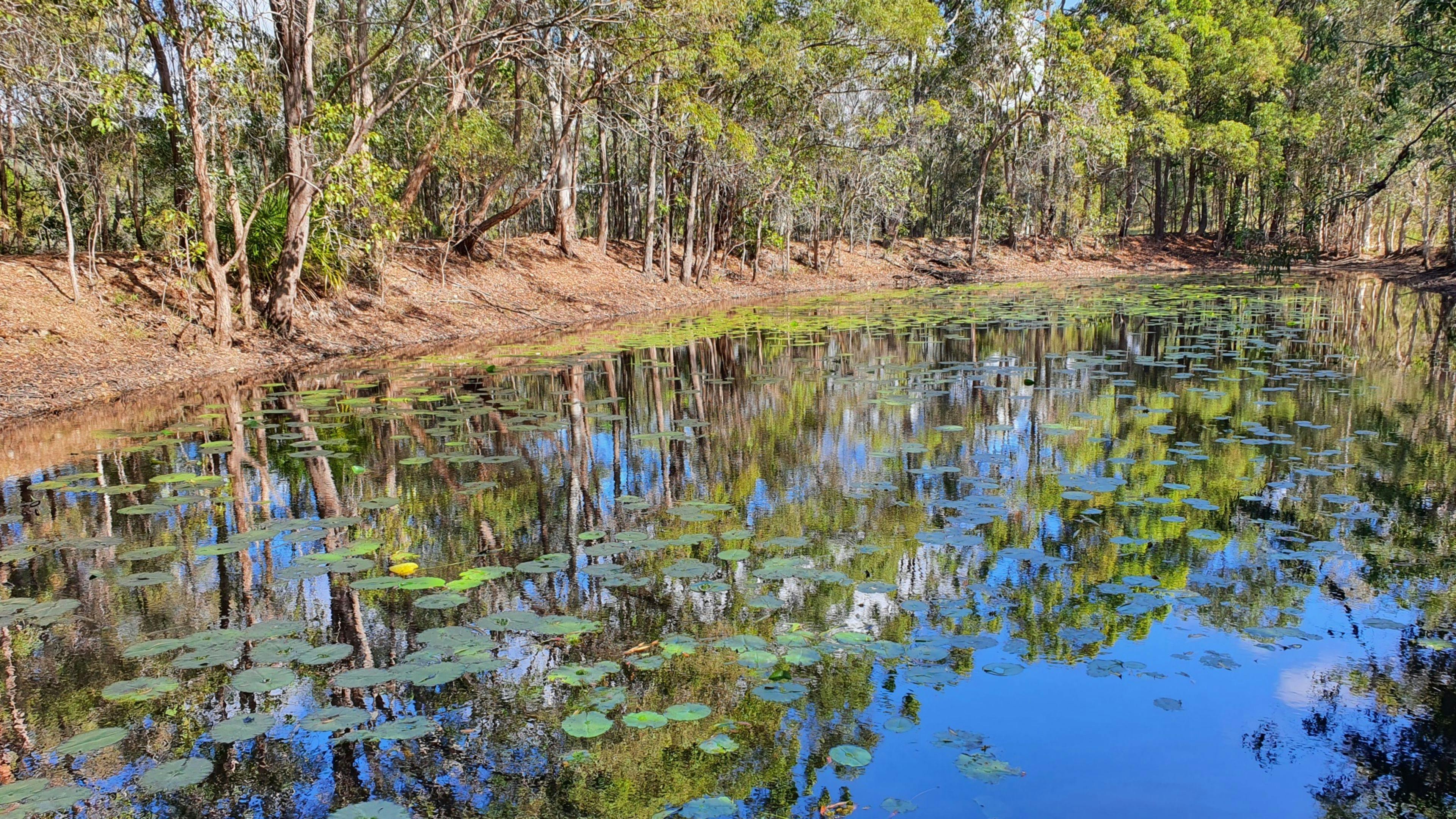 Agnes Park Enviro Camp
