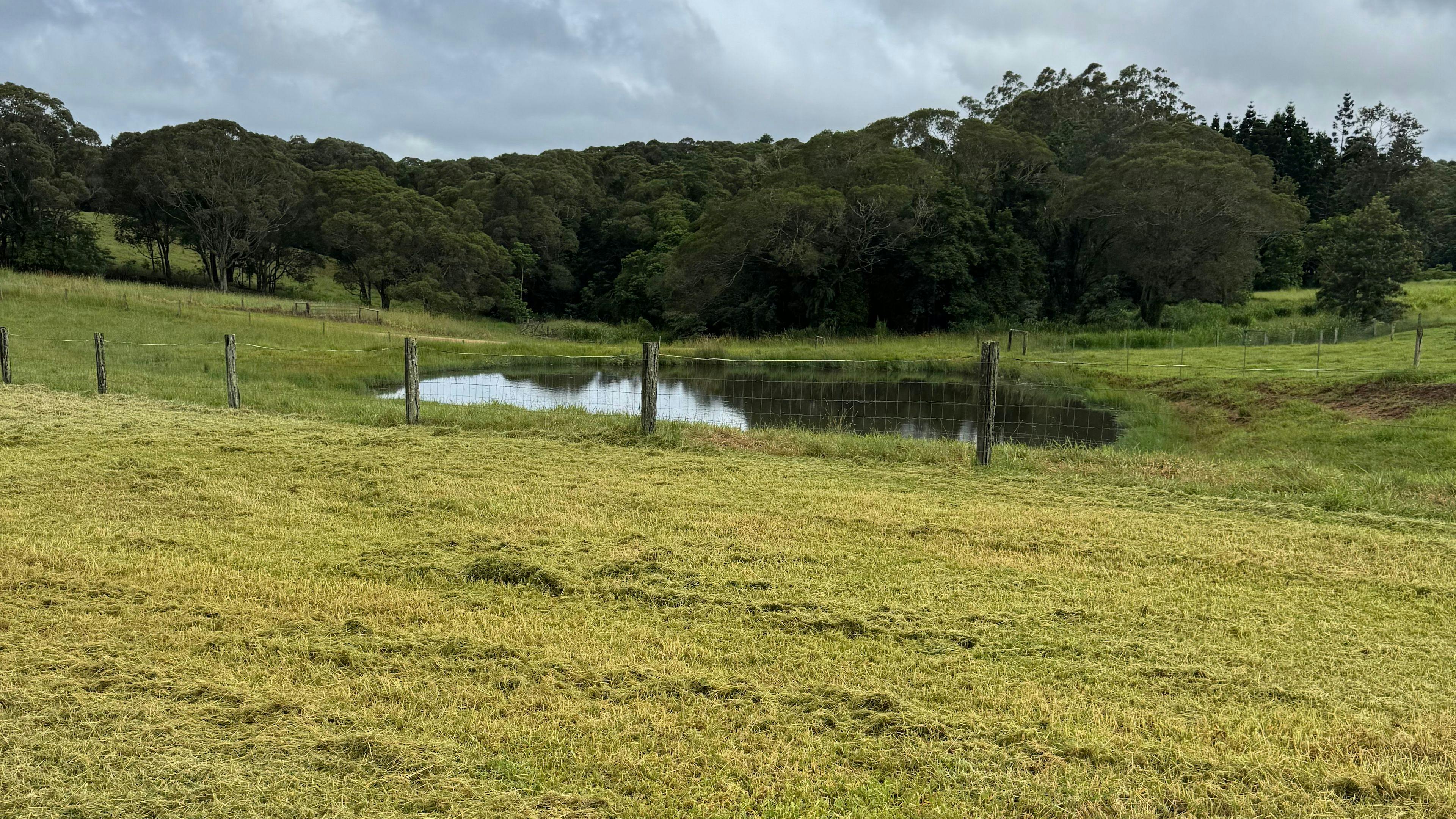 Barrine Farmstay And Camping