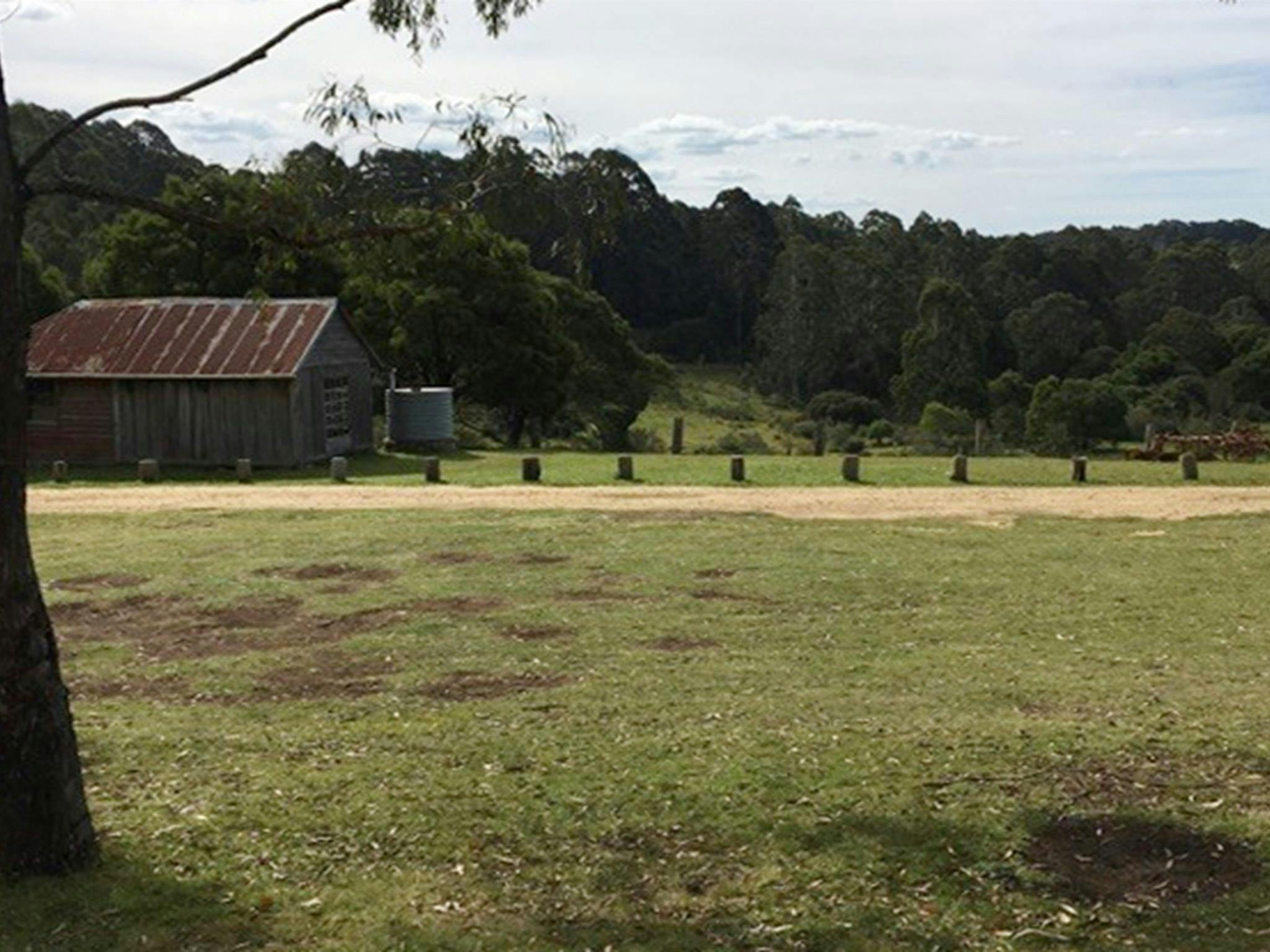 Grassy camping area with Alexanders hut in the background. Photo: Lawani Colley/OEH