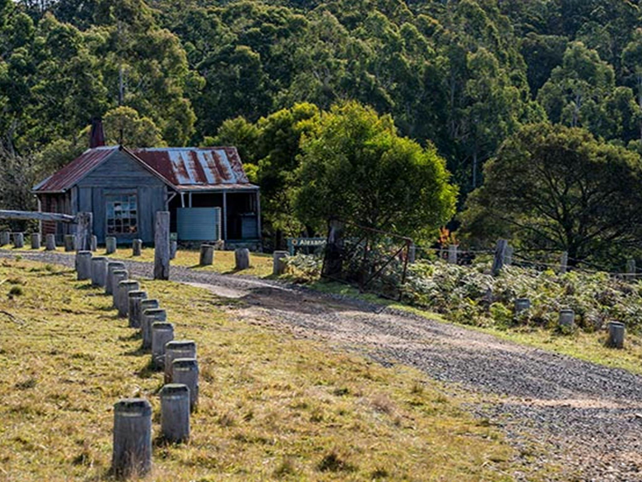 Unpaved road leading to Alexanders Hut, against a forest backdrop. Photo: John Spencer/OEH