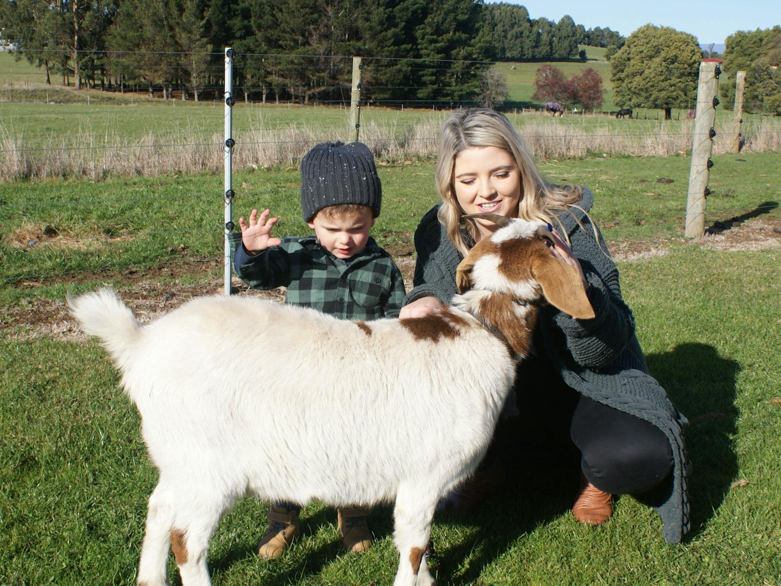 Hands on farm interactions experiences available.