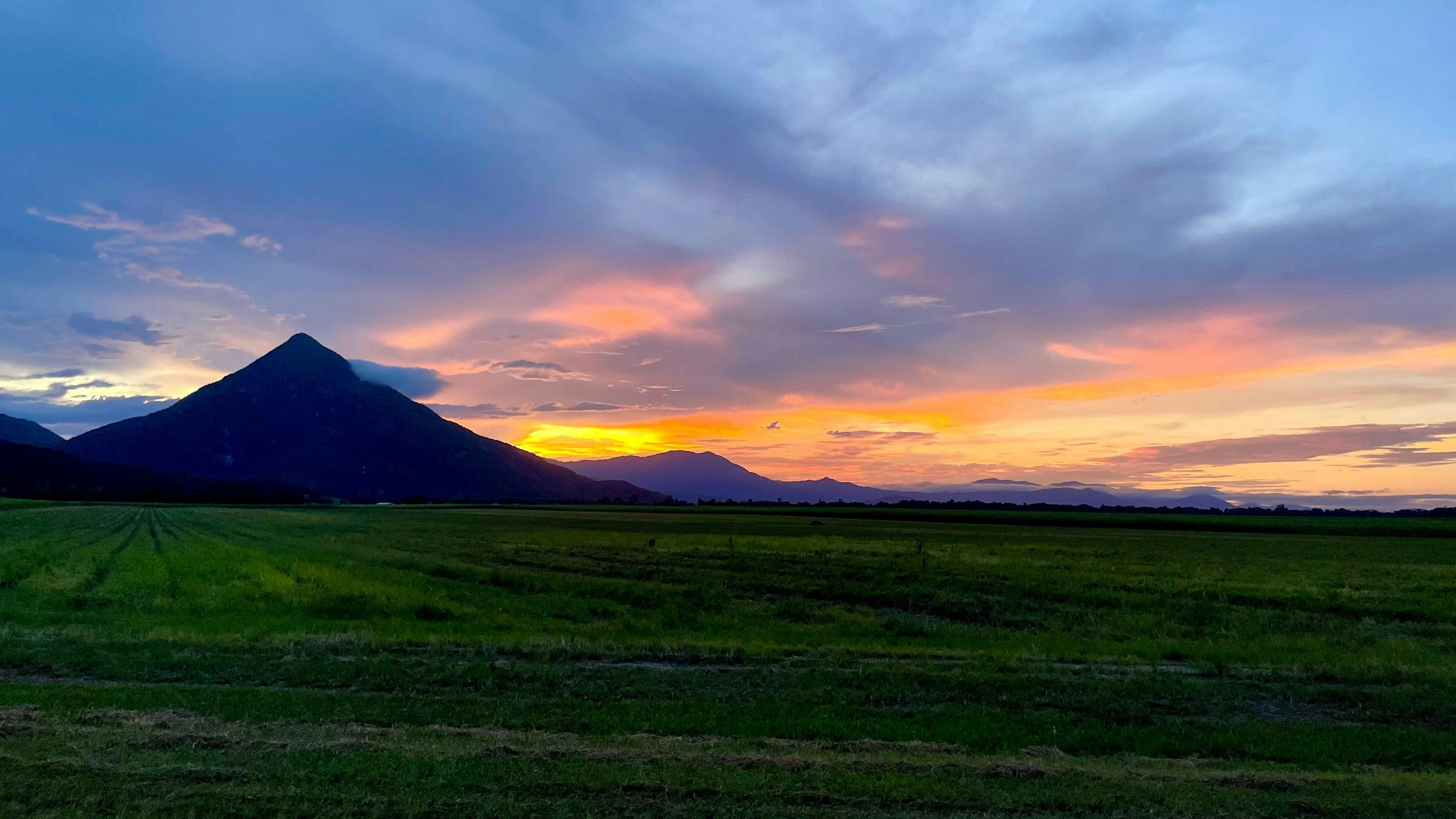 Aloomba Homestead (Tropical Qld)