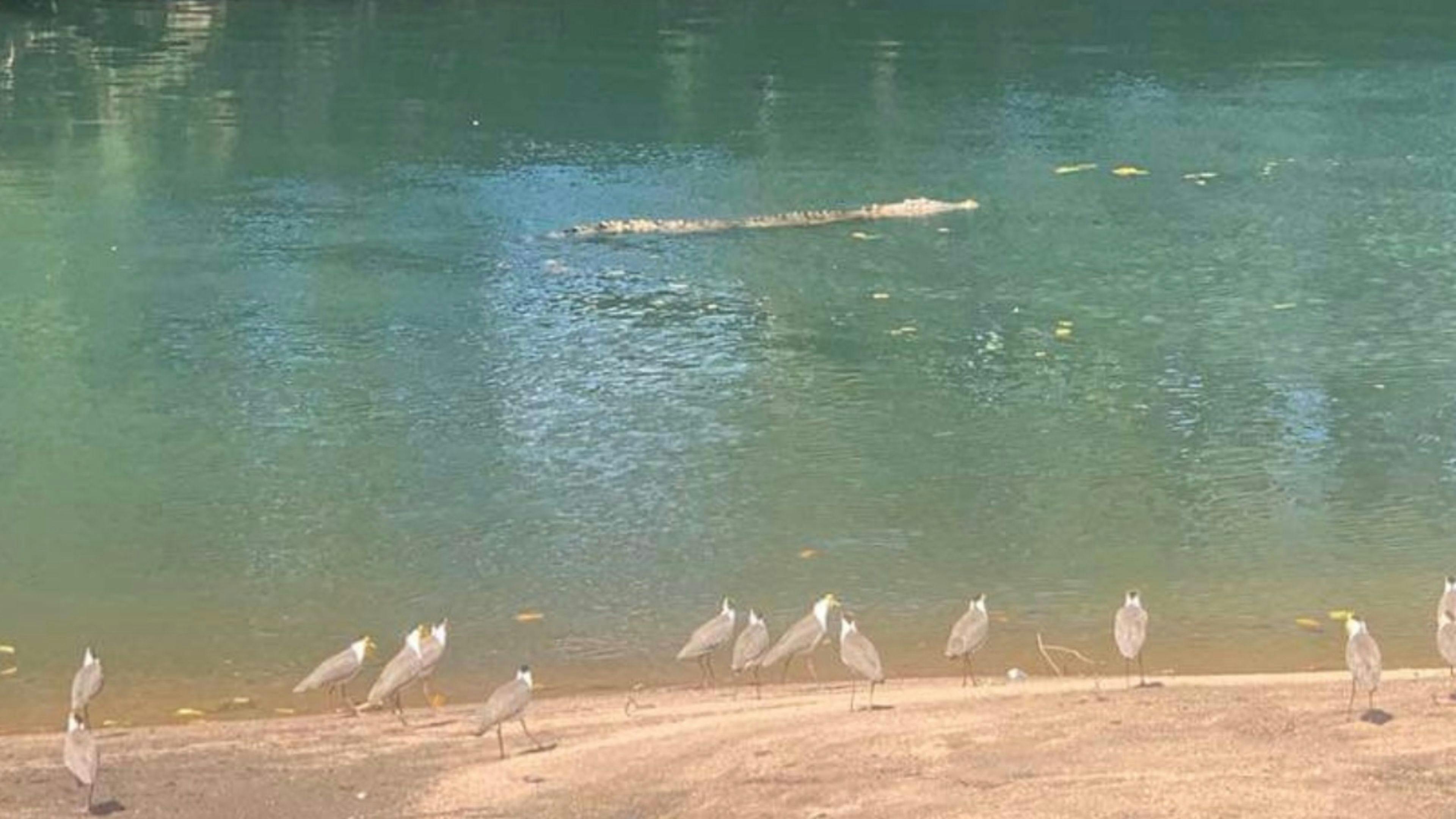 Aloomba Homestead (Tropical Qld)