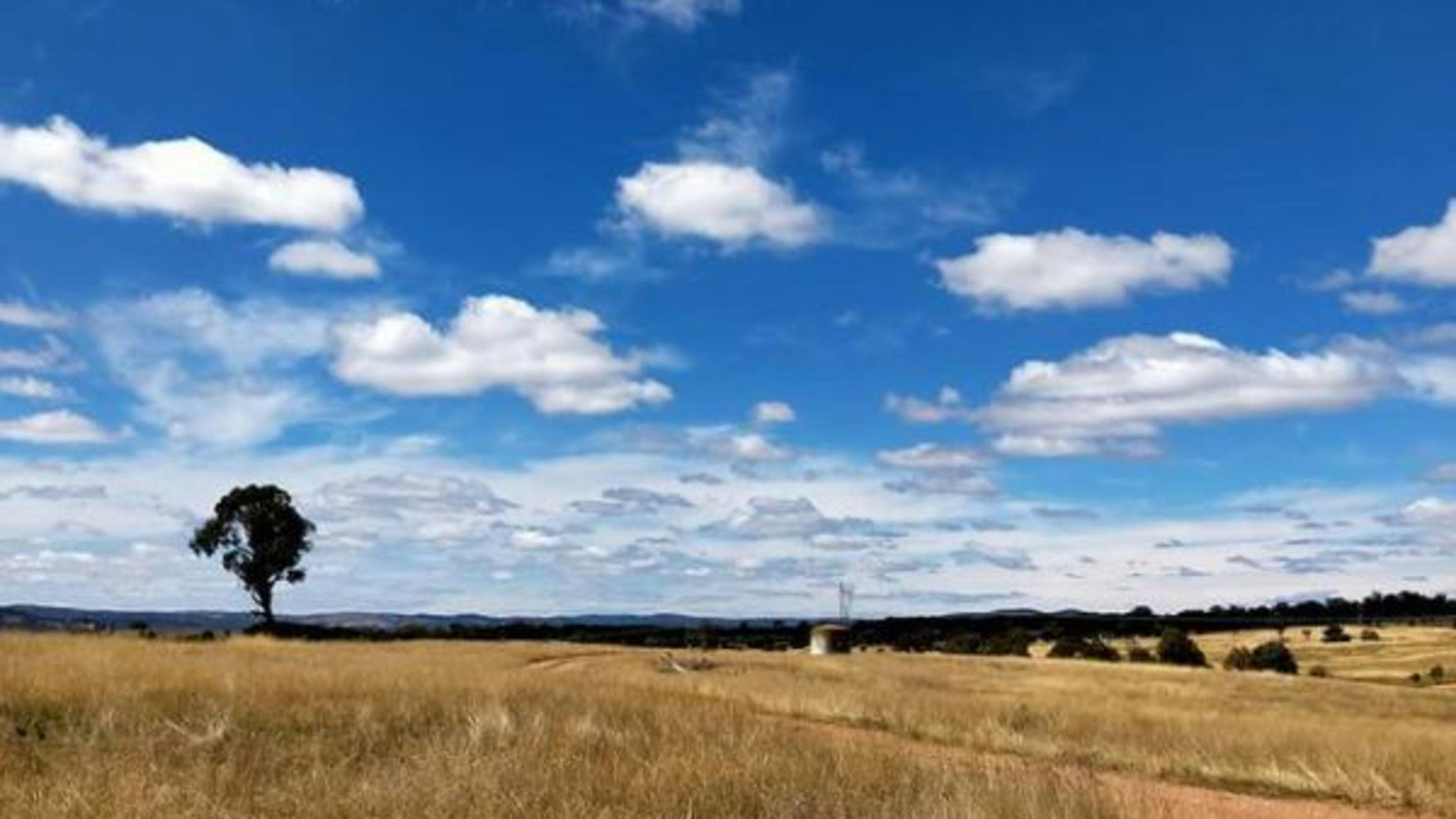 Image for Alpaca Magic