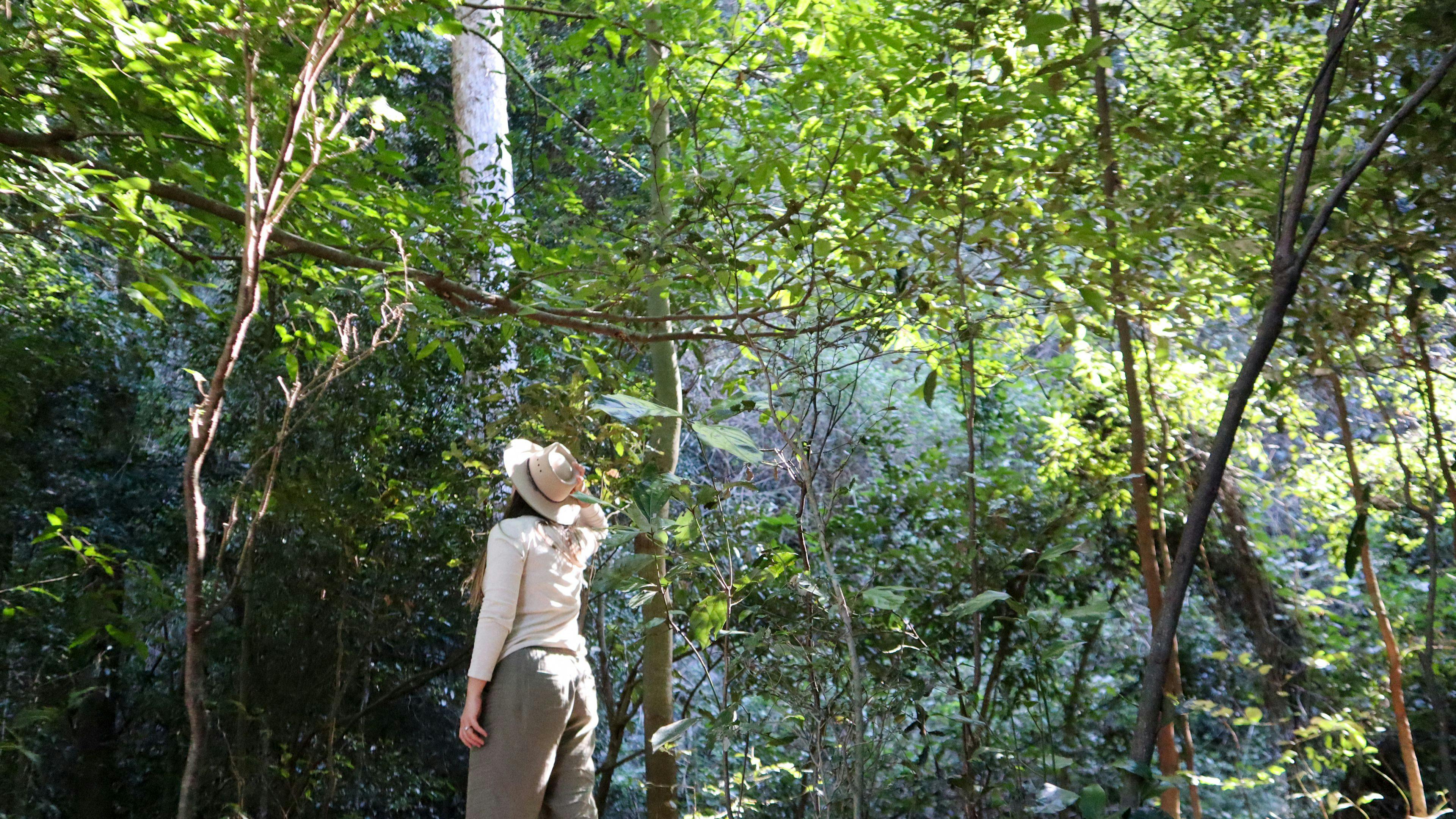 Amamoor Creek Camping n Caravanning