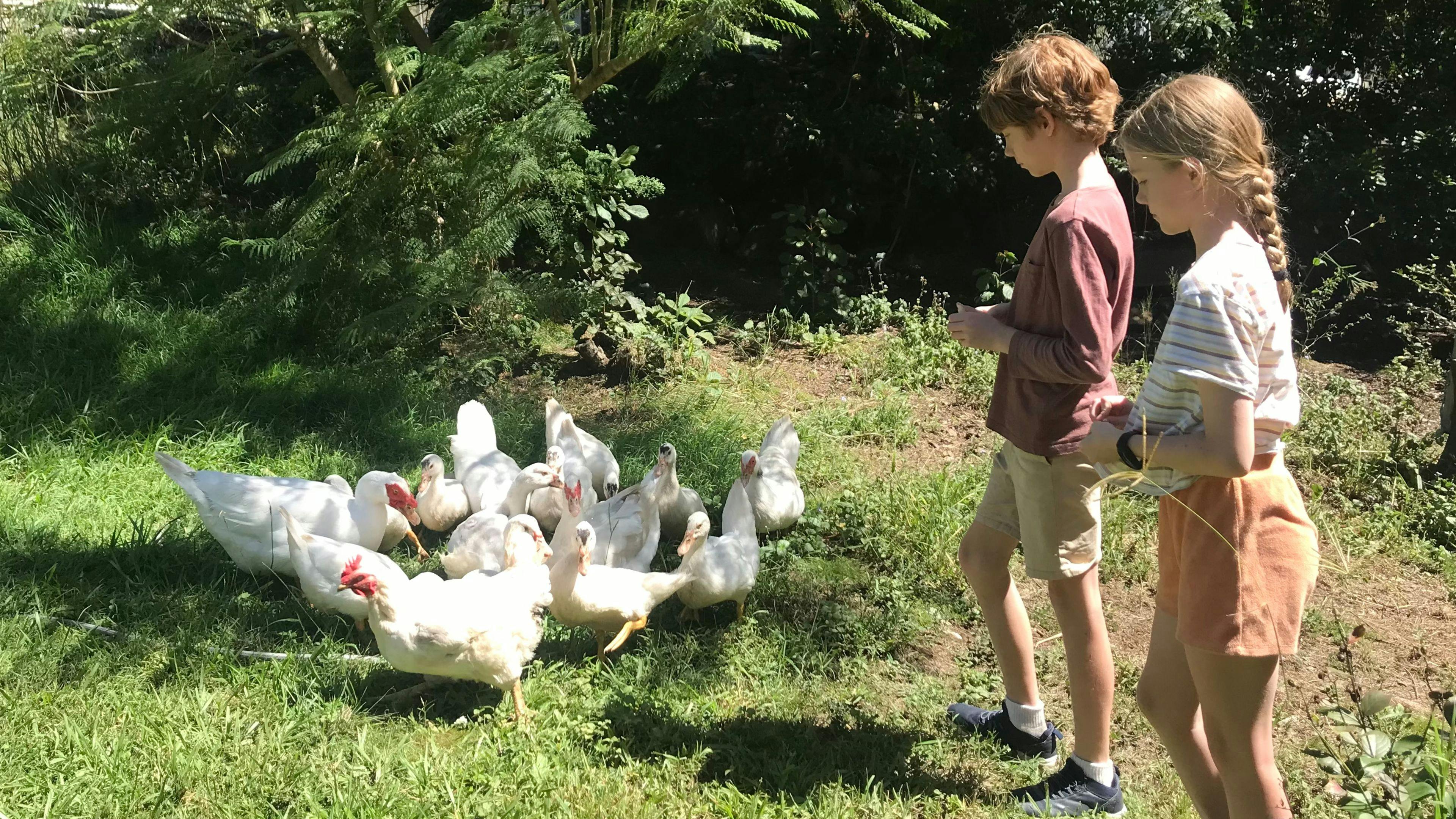 Amamoor Creek Camping n Caravanning