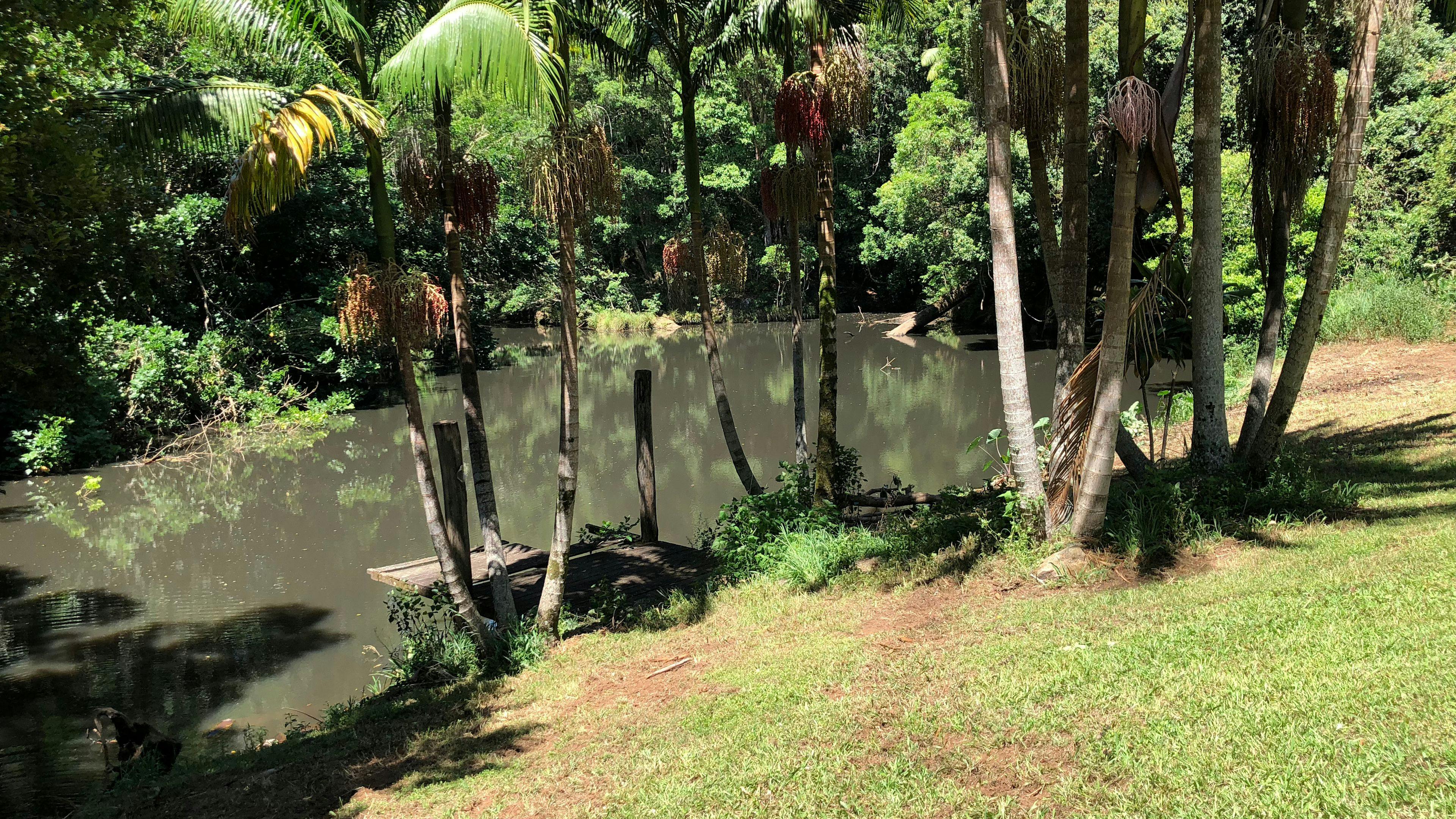 Anandaland: Land of Bliss