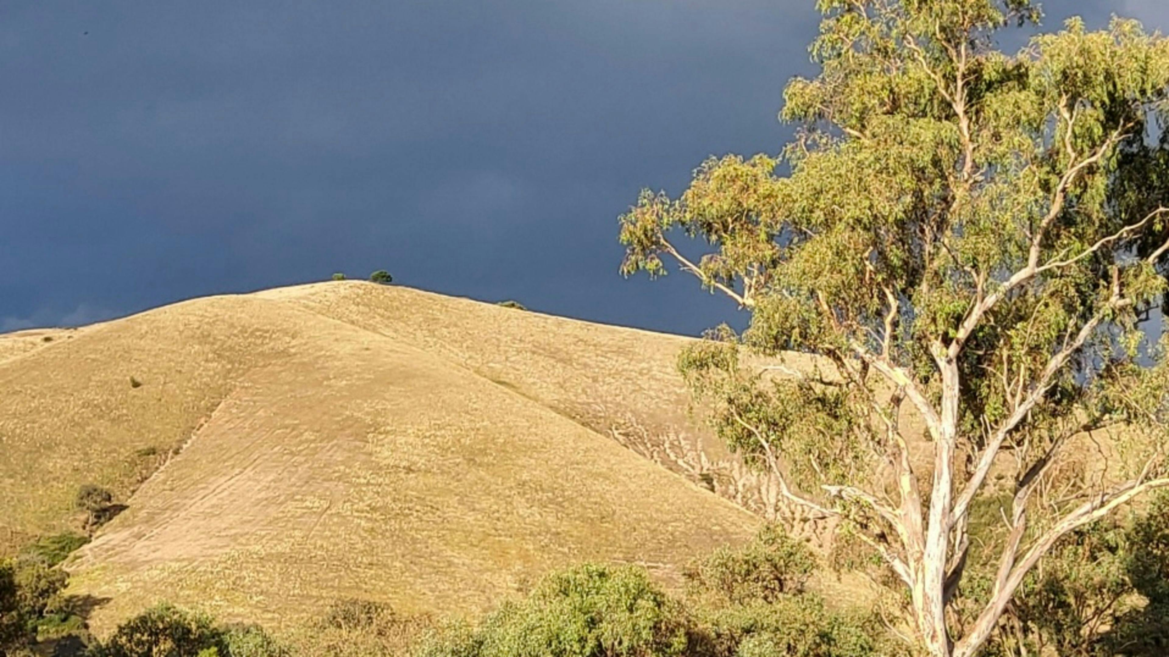 Lake Burrinjuck Leisure Resort