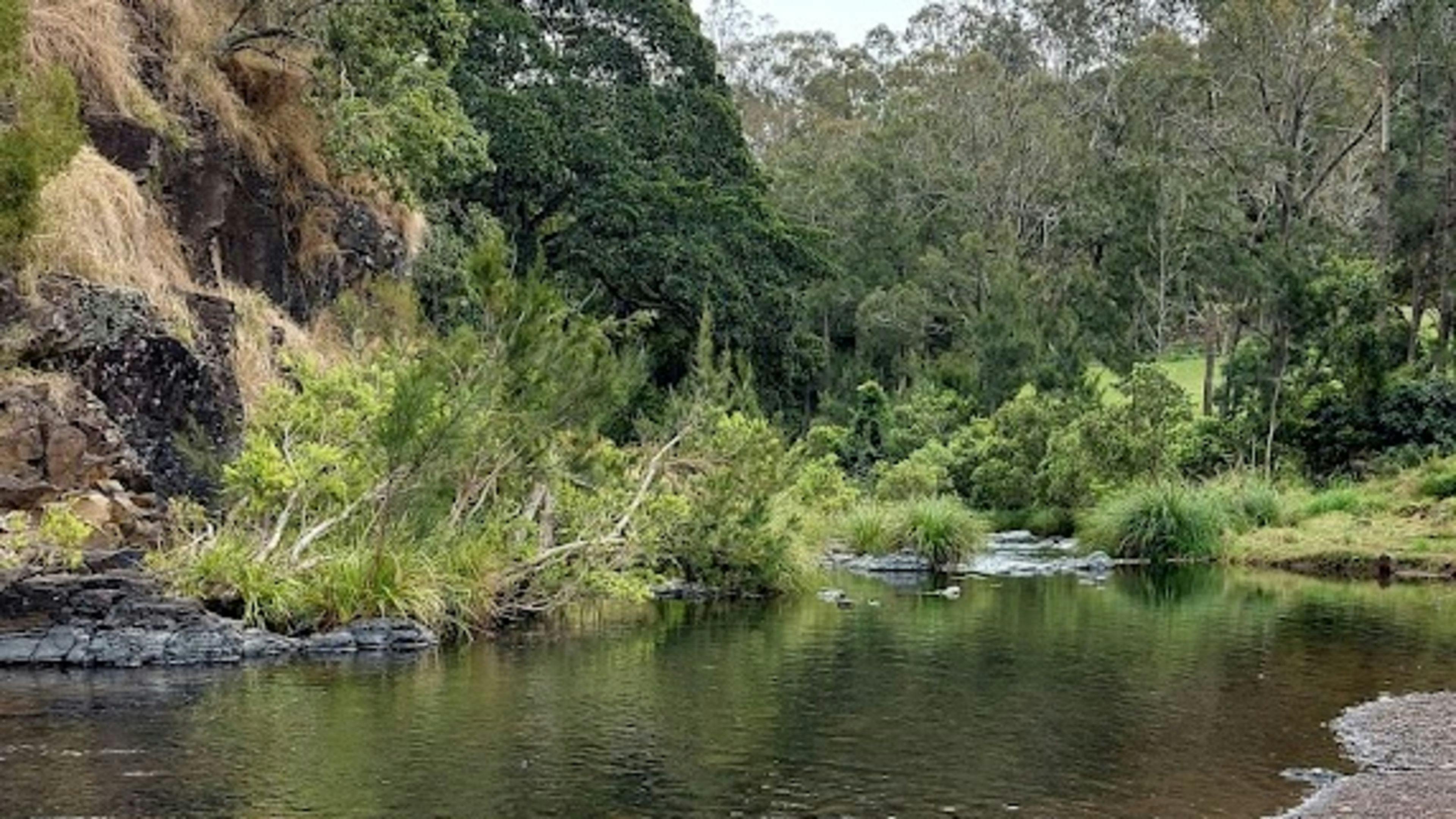 Andrew Drynan Park-Camp with a view