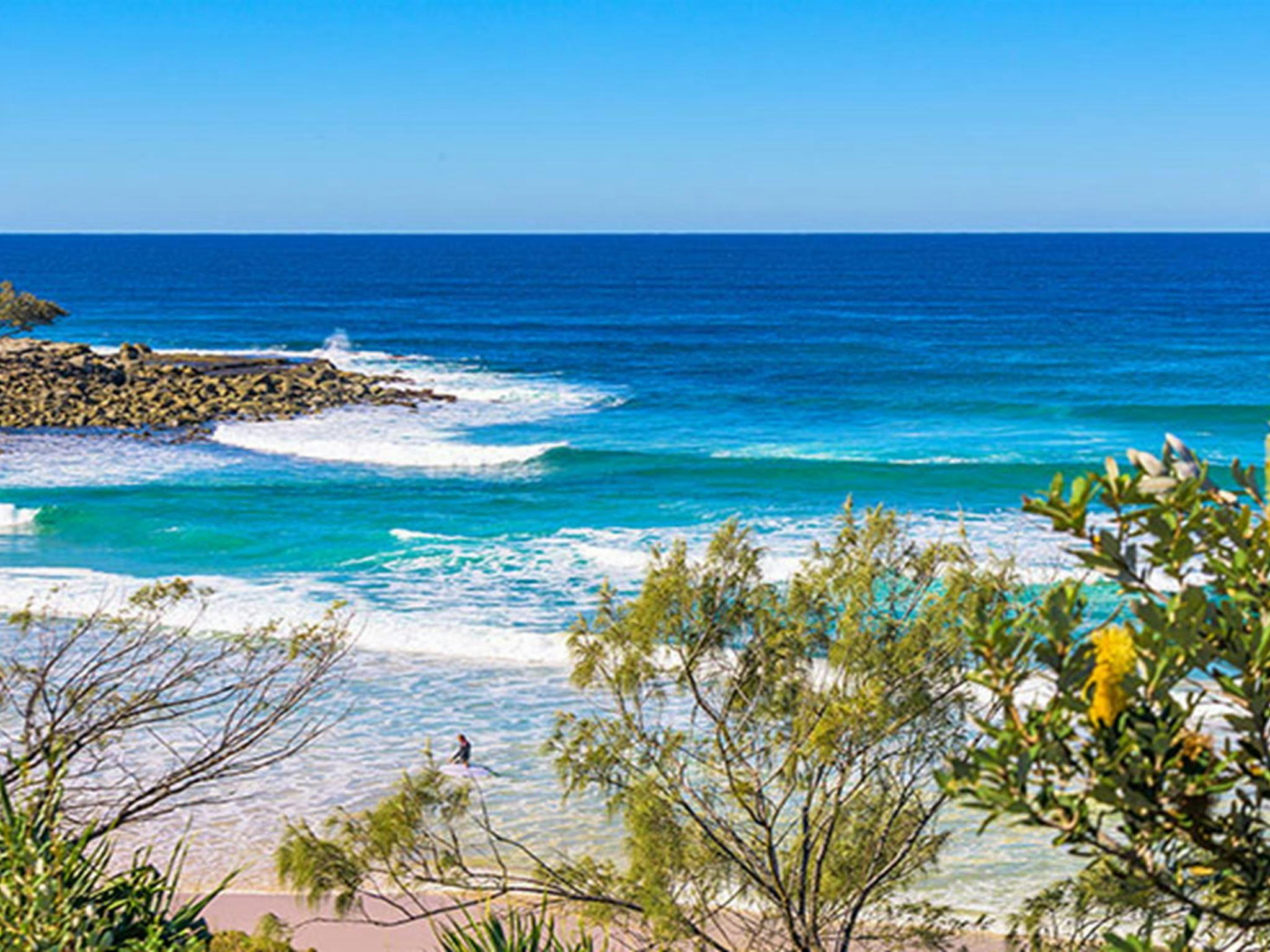 The view of the beach through trees at Angourie Bay picnic area in Yuraygir National Park. Photo: