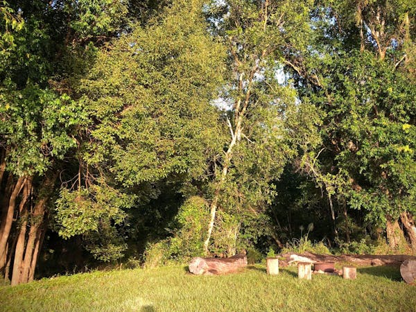 Amamoor Creek Camping Retreat