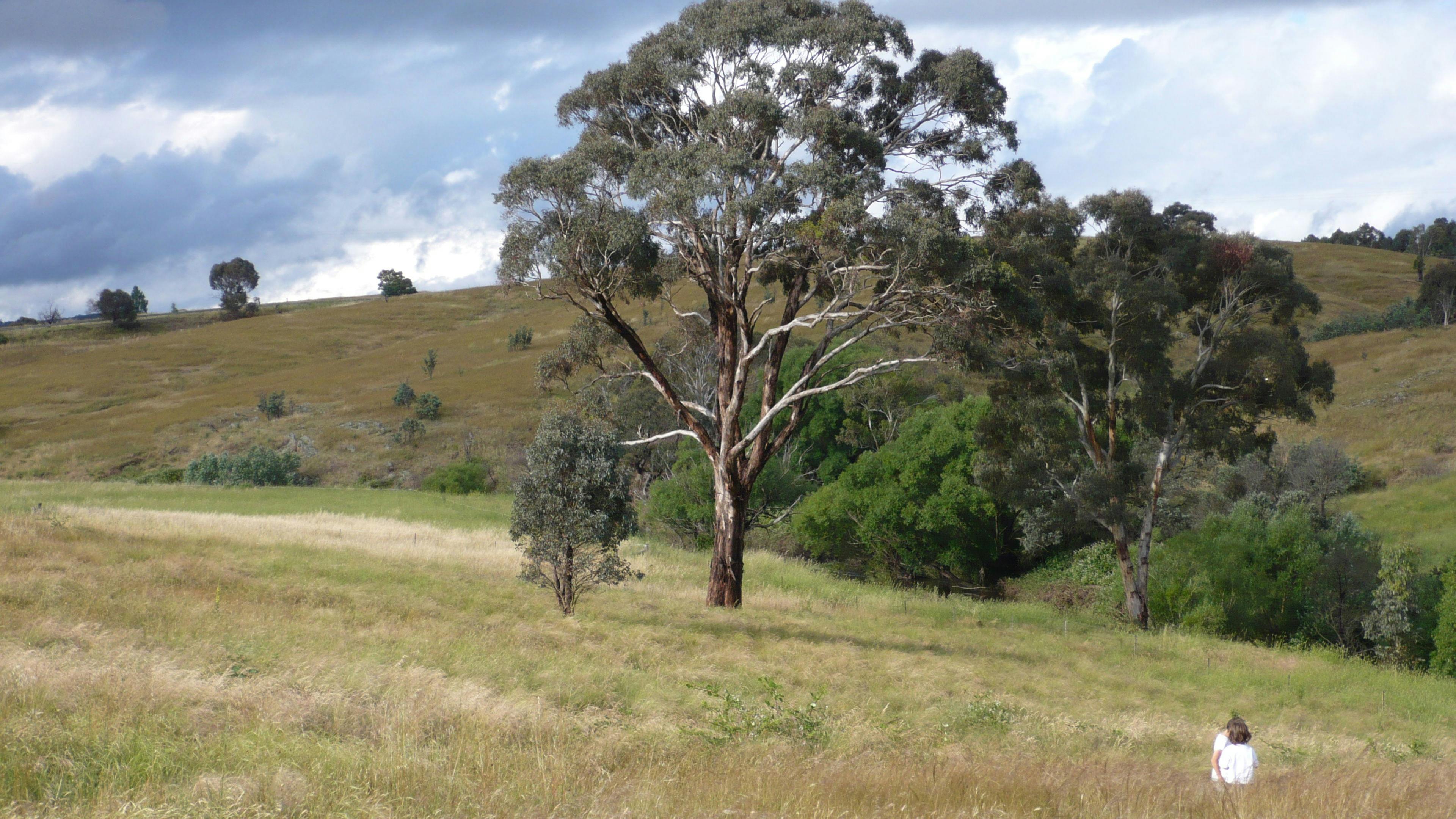 Image for Kaemlai Park Bywong