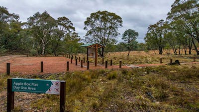 Apple Box Picnic Area, Yanununbeyan State Conservation. Photo: John Spencer/NSW Government