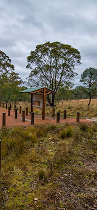 Apple Box Picnic Area, Yanununbeyan State Conservation. Photo: John Spencer/NSW Government