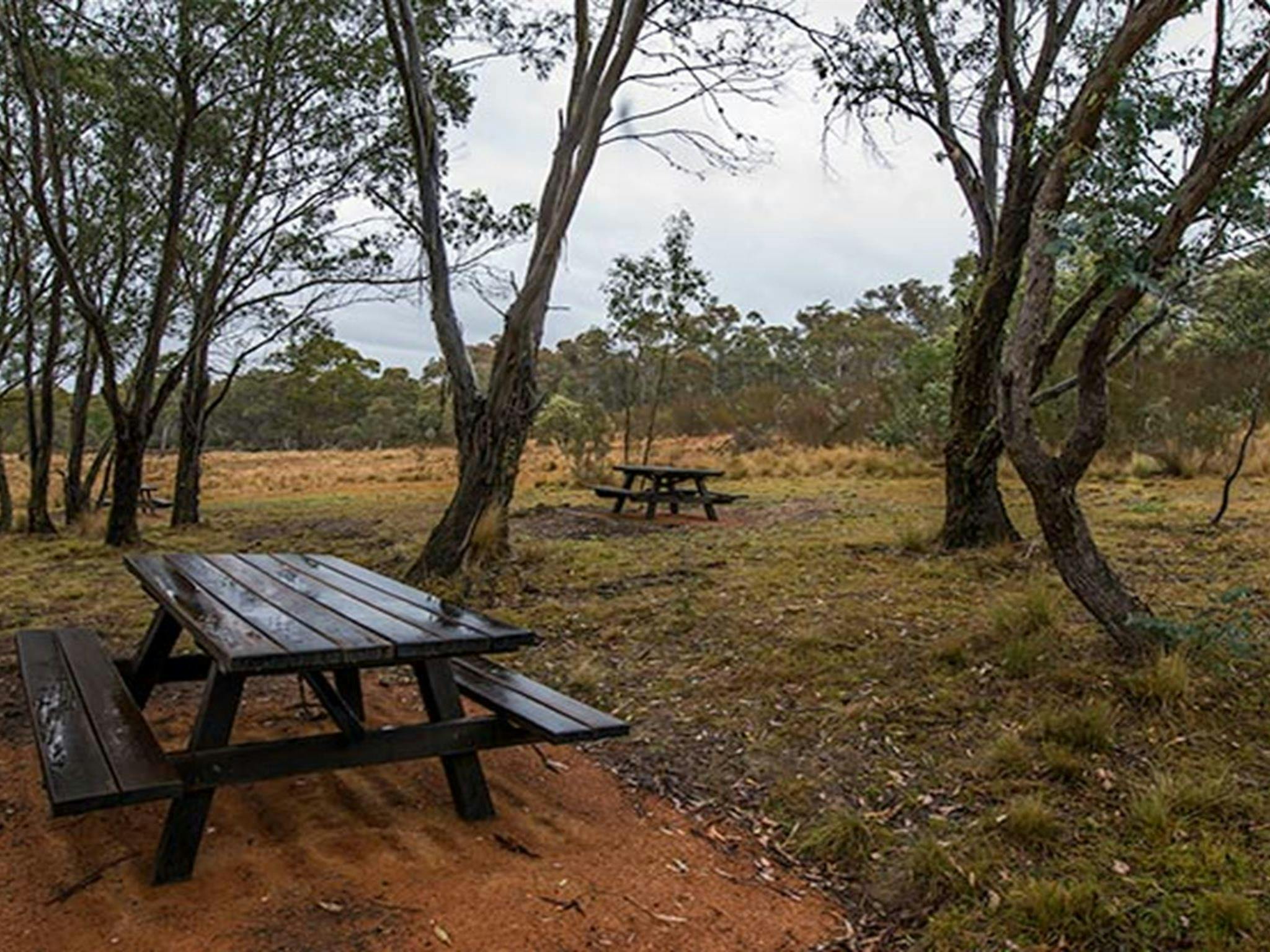 Apple Box Picnic Area, Yanununbeyan State Conservation. Photo: John Spencer/NSW Government