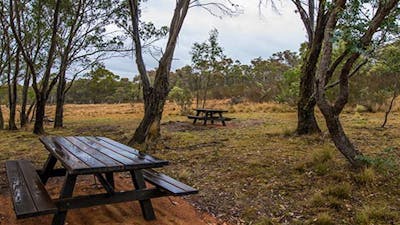 Apple Box Picnic Area, Yanununbeyan State Conservation. Photo: John Spencer/NSW Government