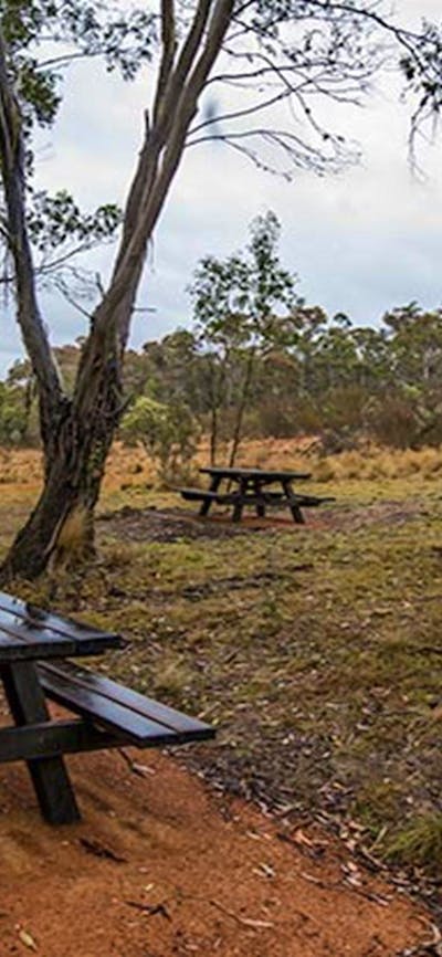 Apple Box Picnic Area, Yanununbeyan State Conservation. Photo: John Spencer/NSW Government